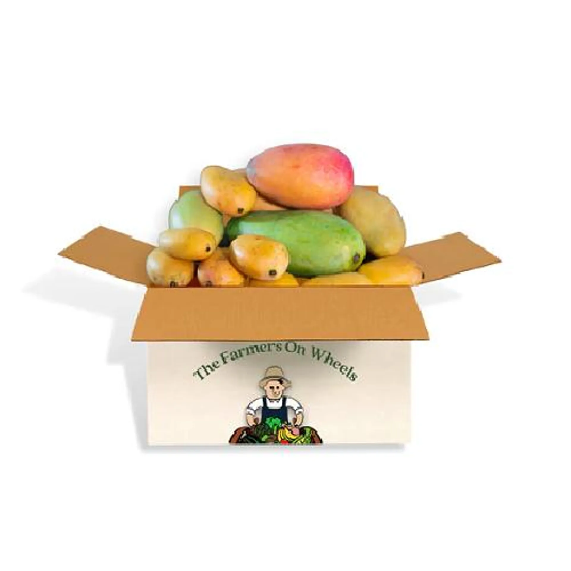 Mango Zita Box/ Ea