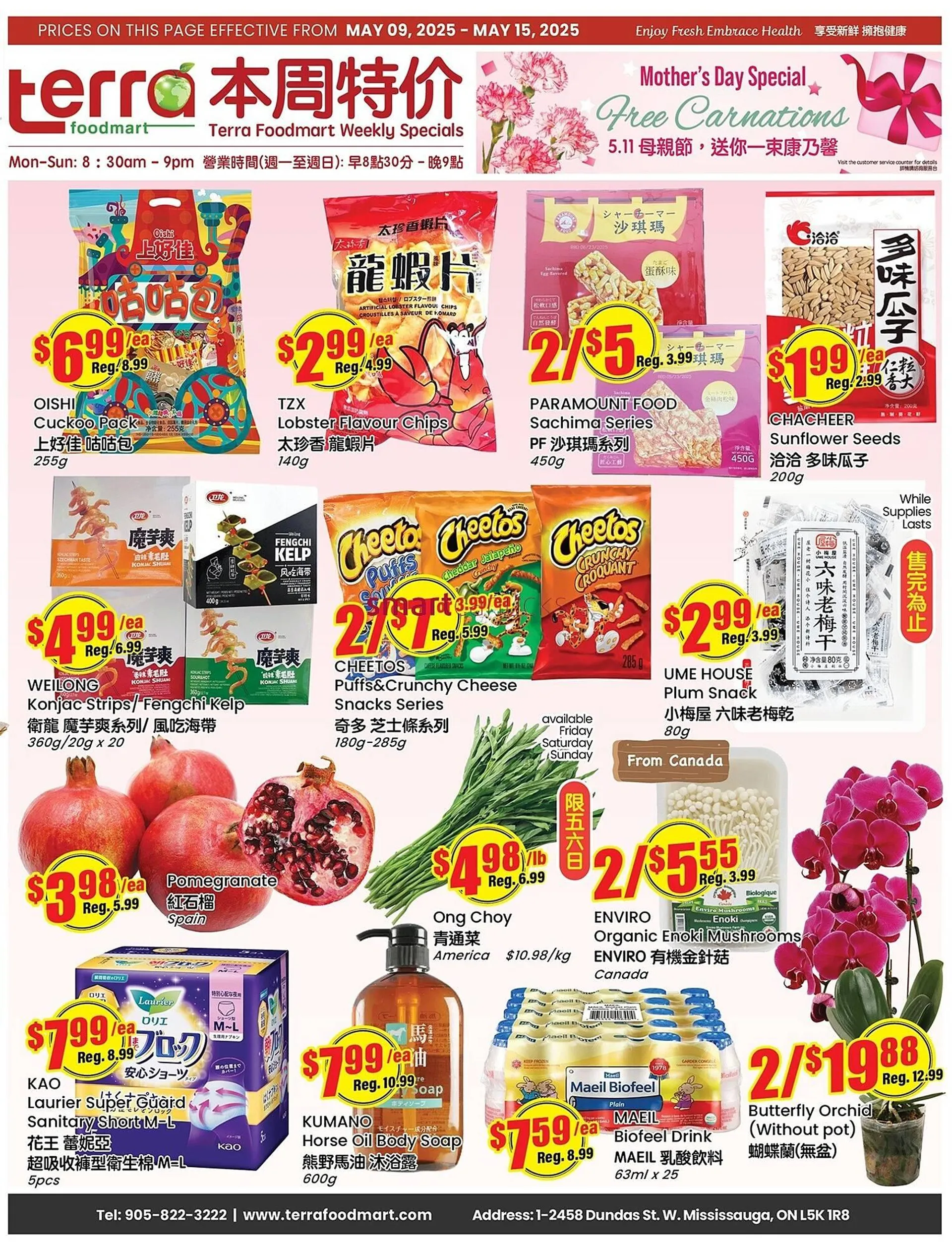 Terra Foodmart flyer - 1