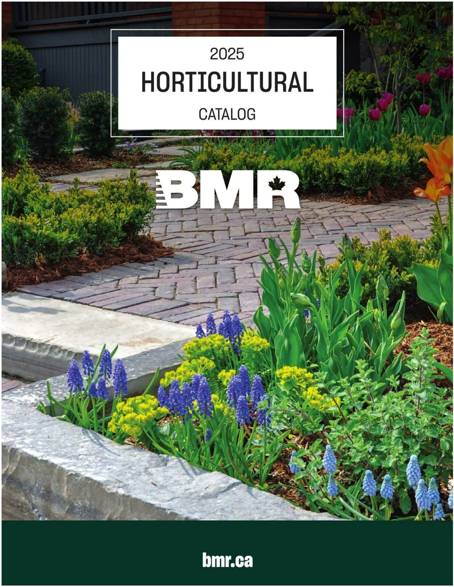 BMR Current flyer from April 10 to December 31 2025 - flyer page 1