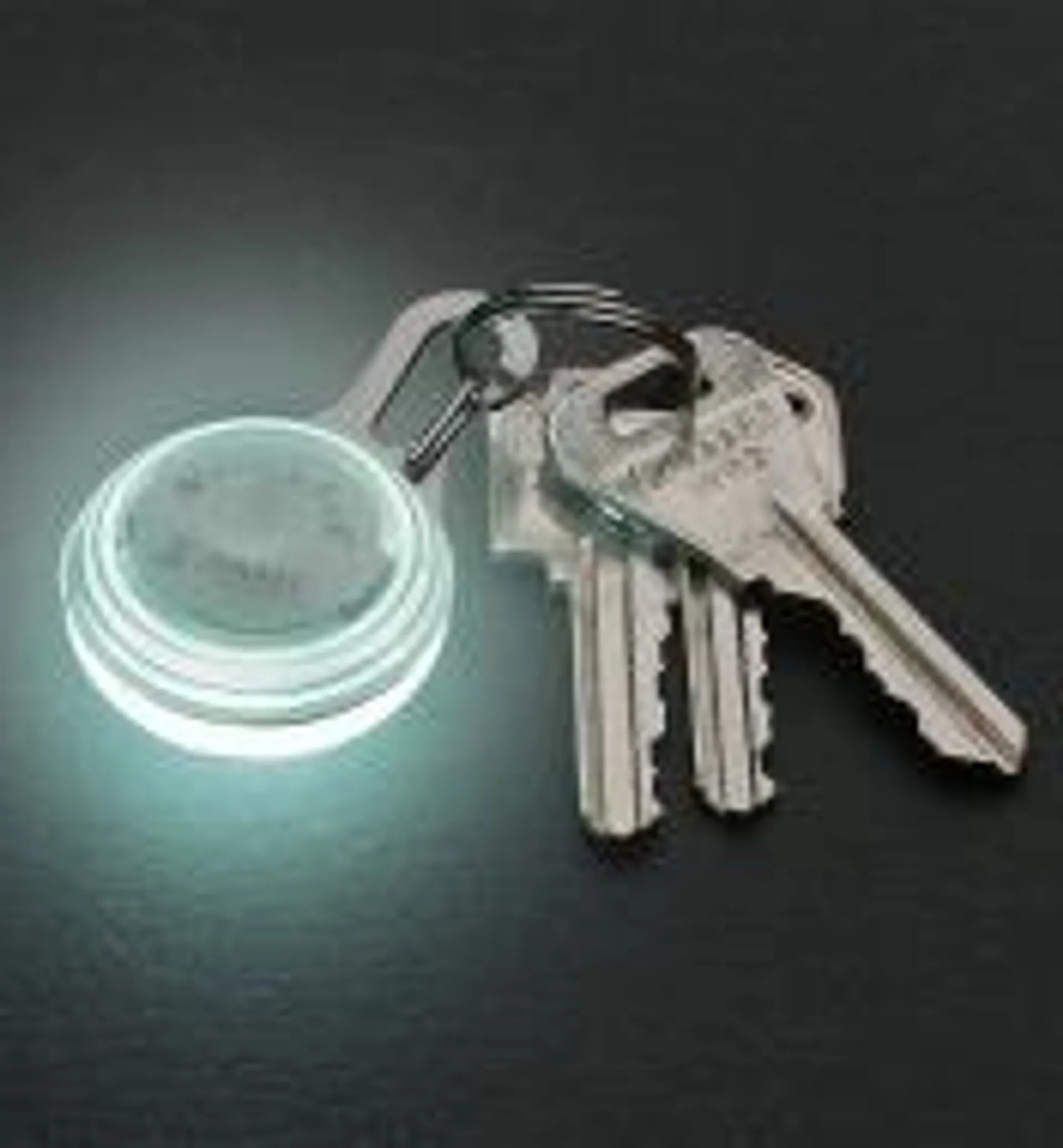 Carabiner LED Light