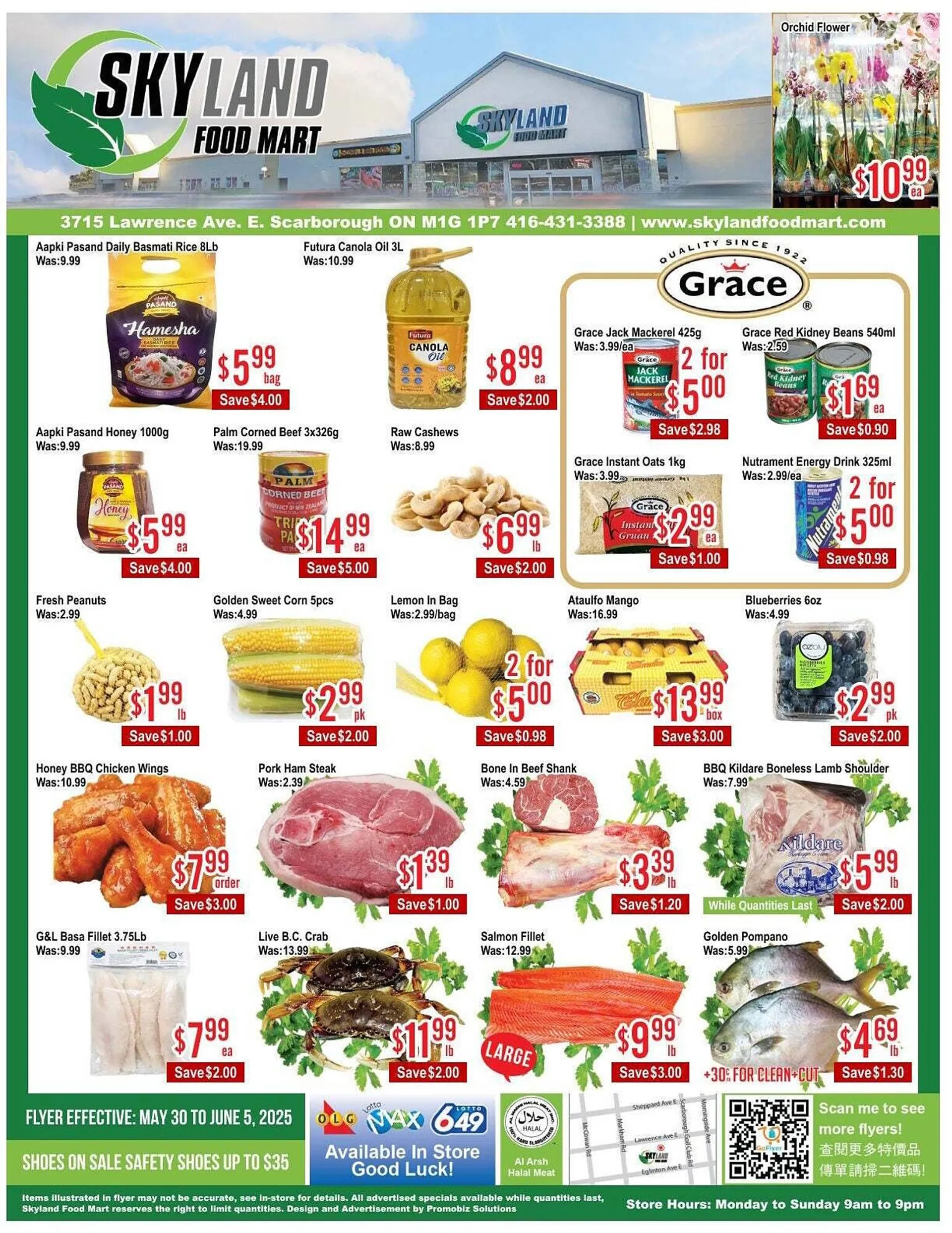 Skyland Foodmart flyer from May 30 to June 6 2025 - flyer page 1