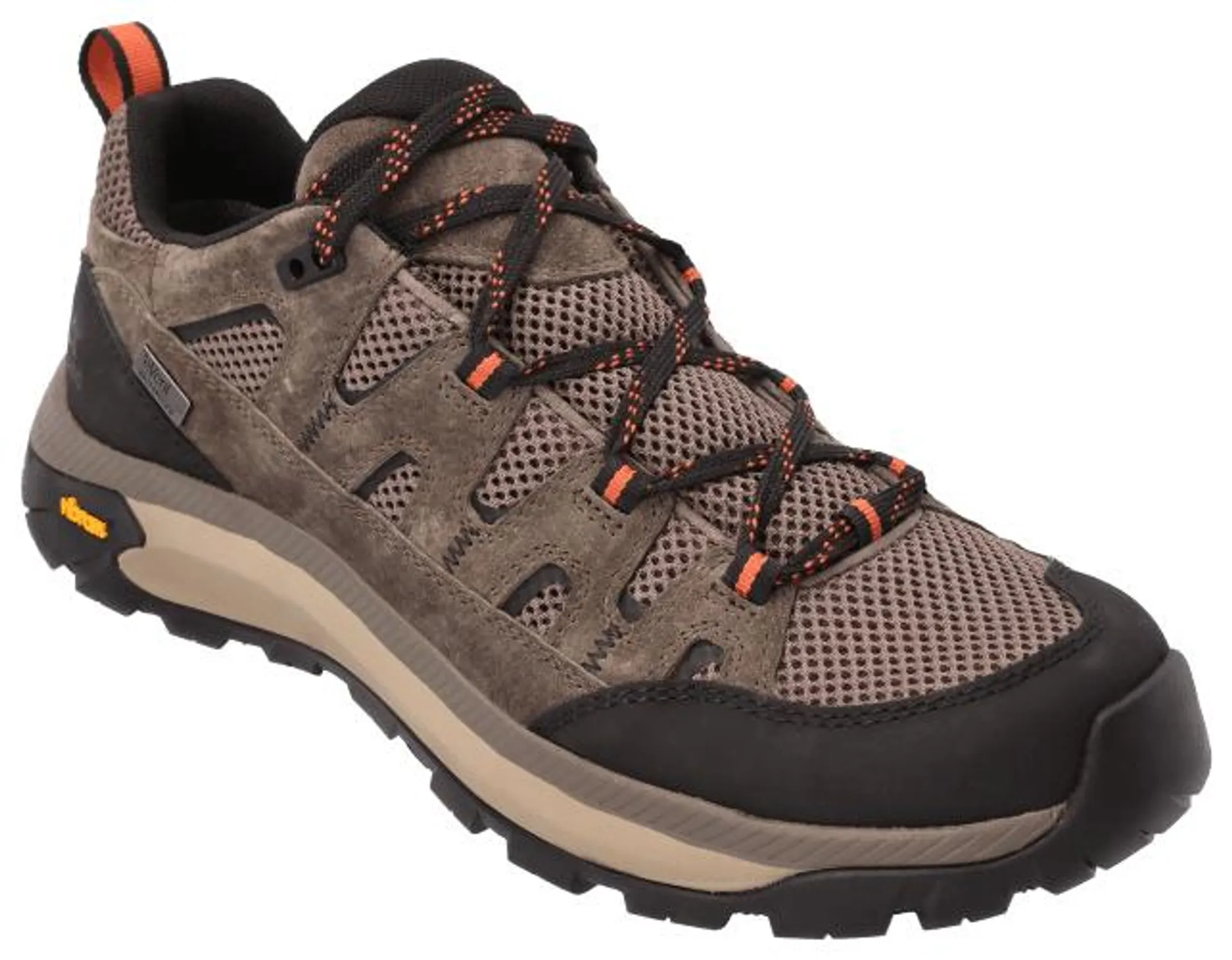 Ascend Mojave Low Waterproof Hiking Shoes for Men