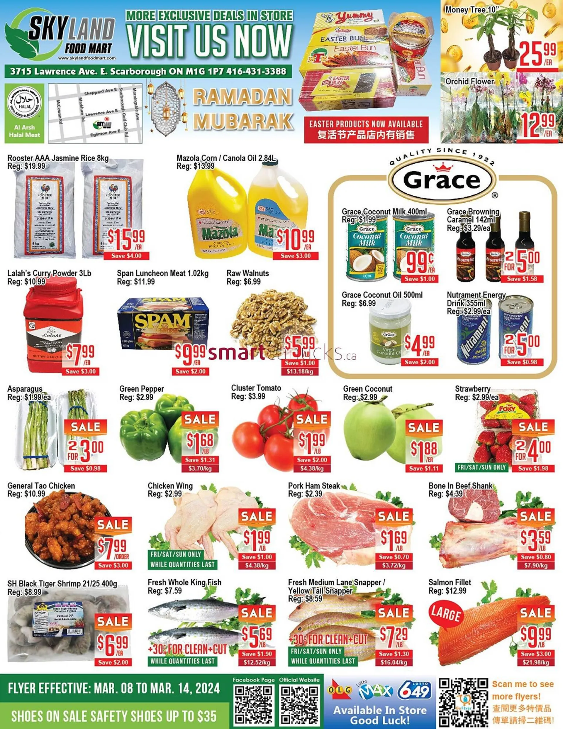 Skyland Foodmart flyer from March 8 to March 14 2024 - flyer page 1