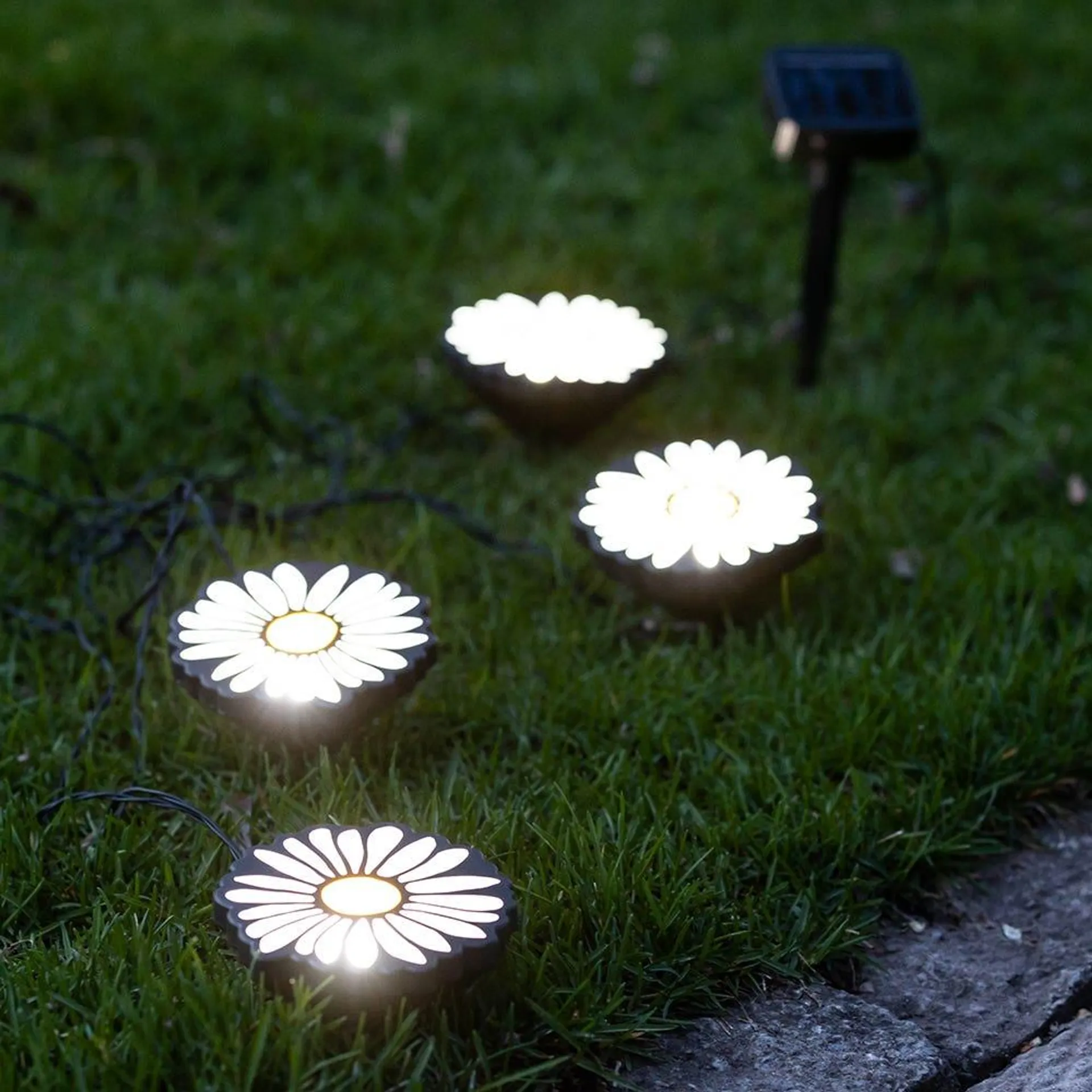 Decolite Outdoor Daisy Flower Solar Powered LED Path Light - Set of 4