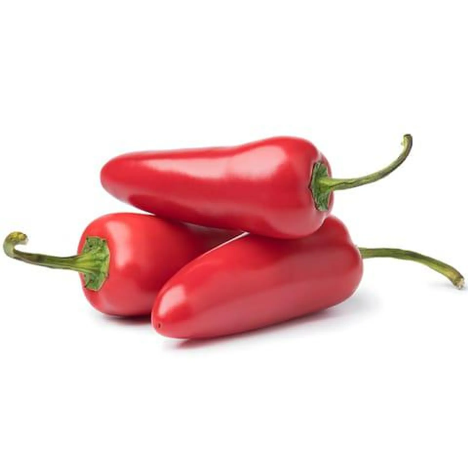 Piment Jalapeno biologique