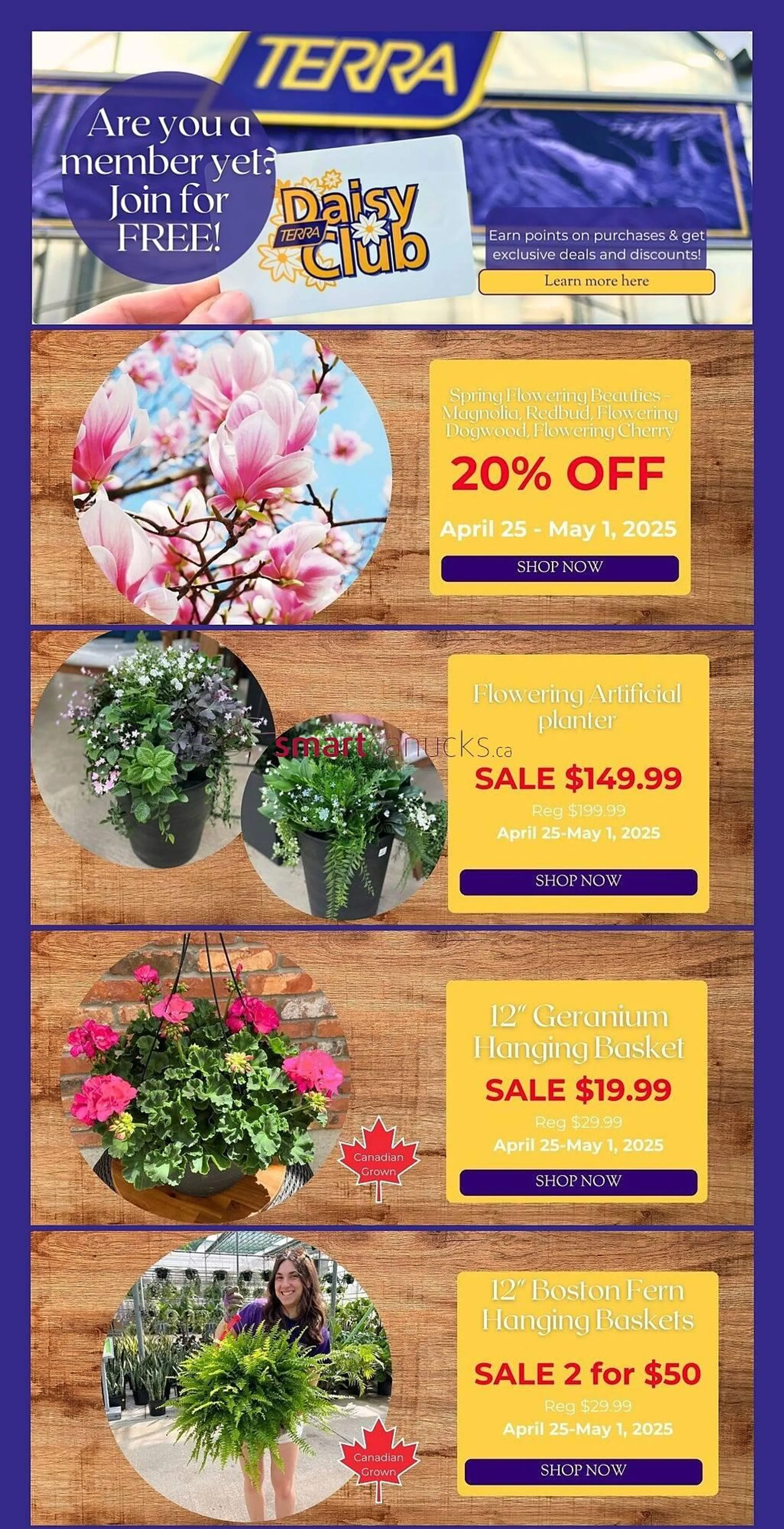 Terra Green Houses flyer - 1