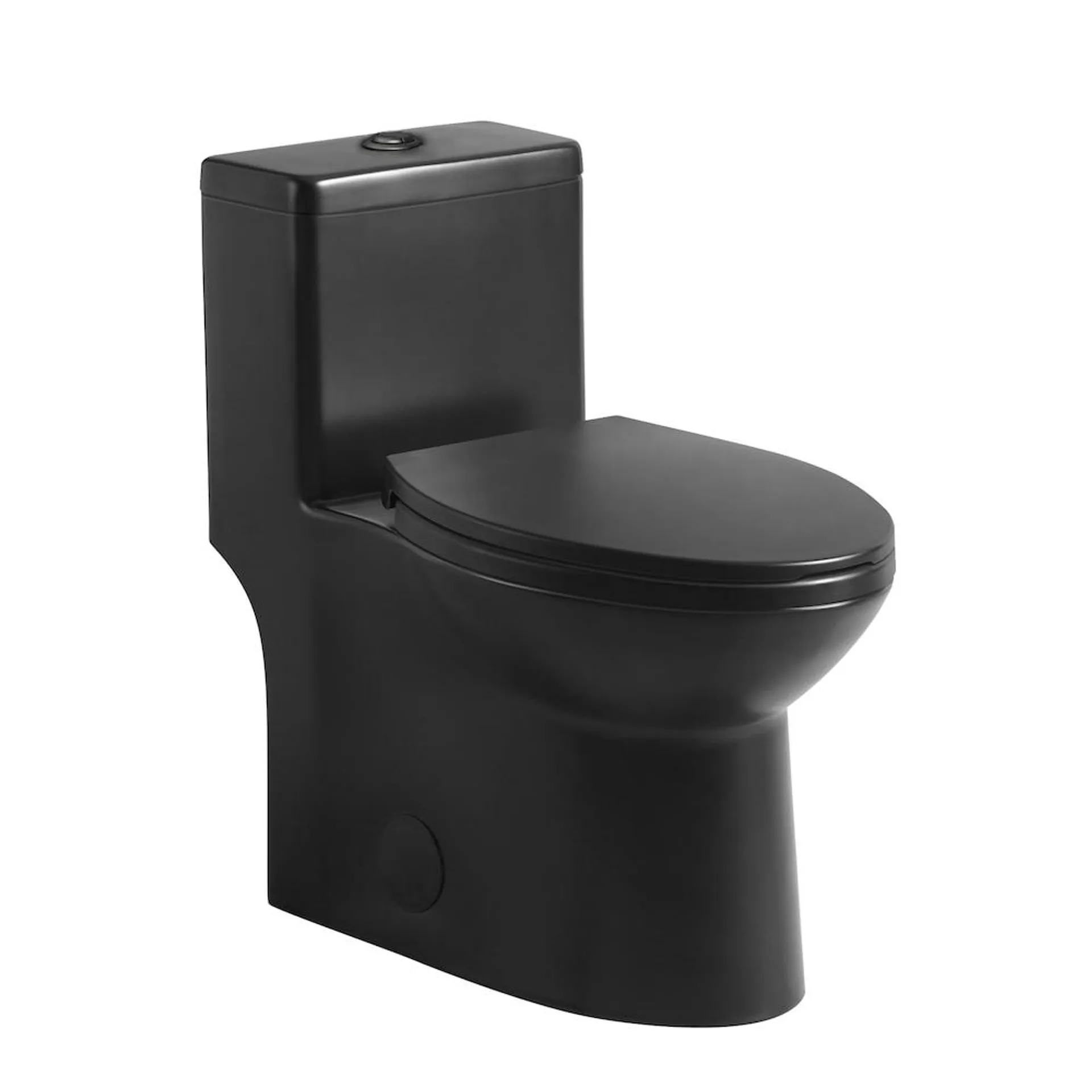 Denise 1-piece 3/6L GPF Dual Flush Right Height Elongated Toilet in Black