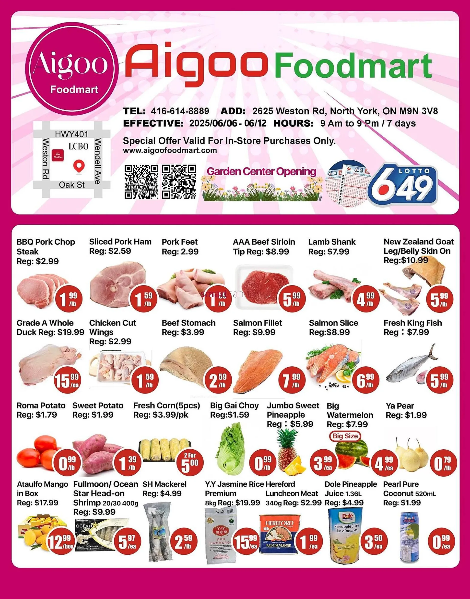 Aigoo Foodmart flyer from June 6 to June 12 2025 - flyer page 1