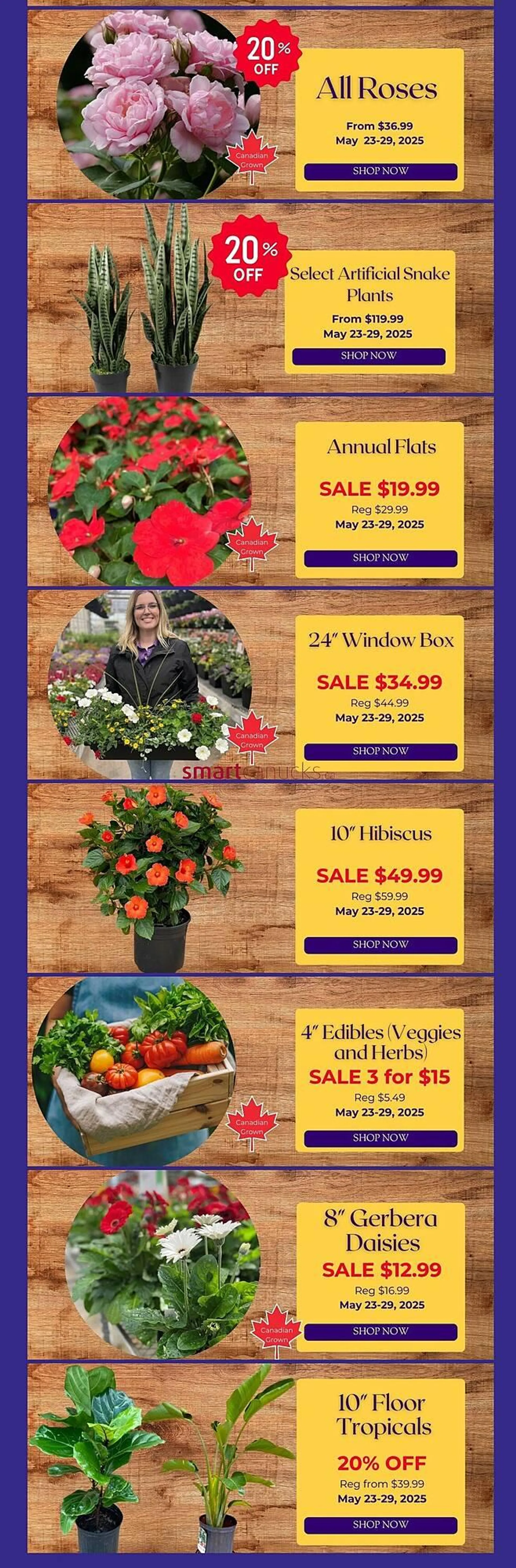 Terra Green Houses flyer from May 23 to May 29 2025 - flyer page 2