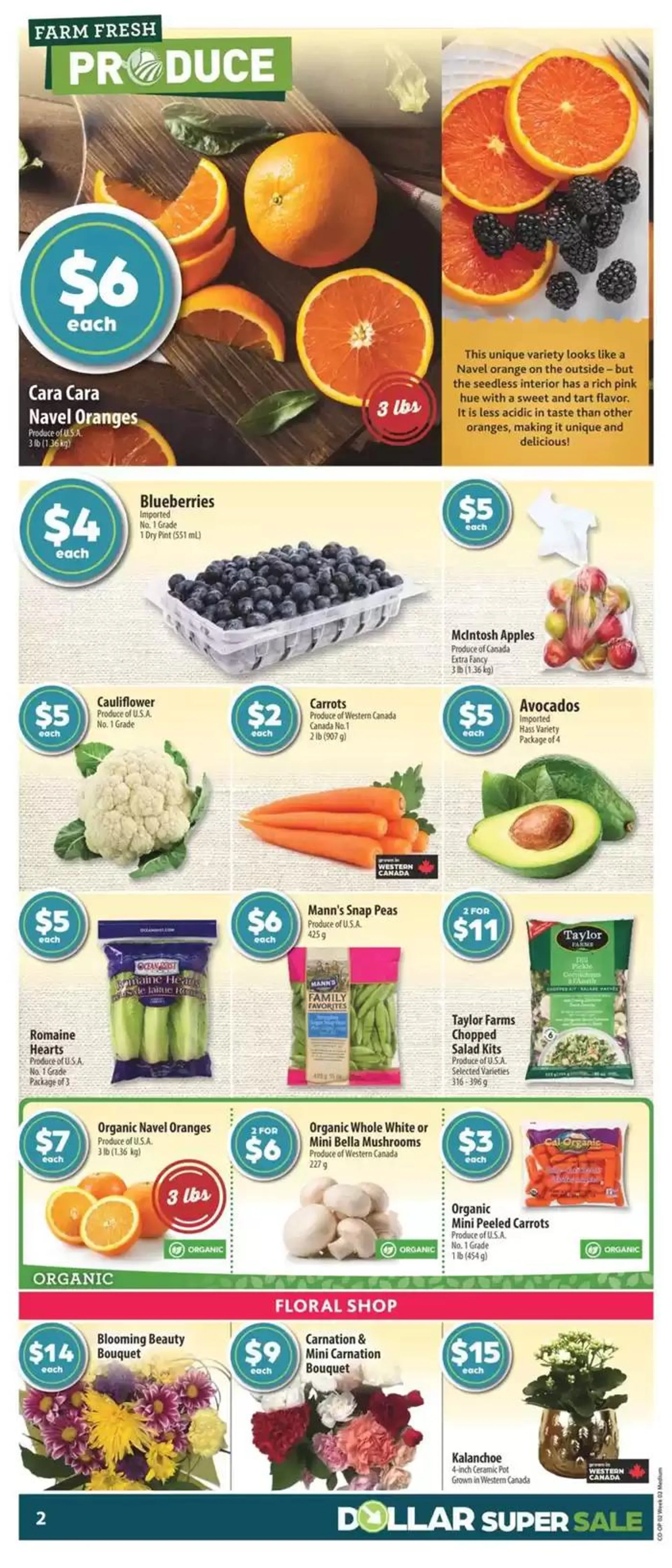 Dollar Super Sale from January 3 to January 8 2025 - flyer page 3