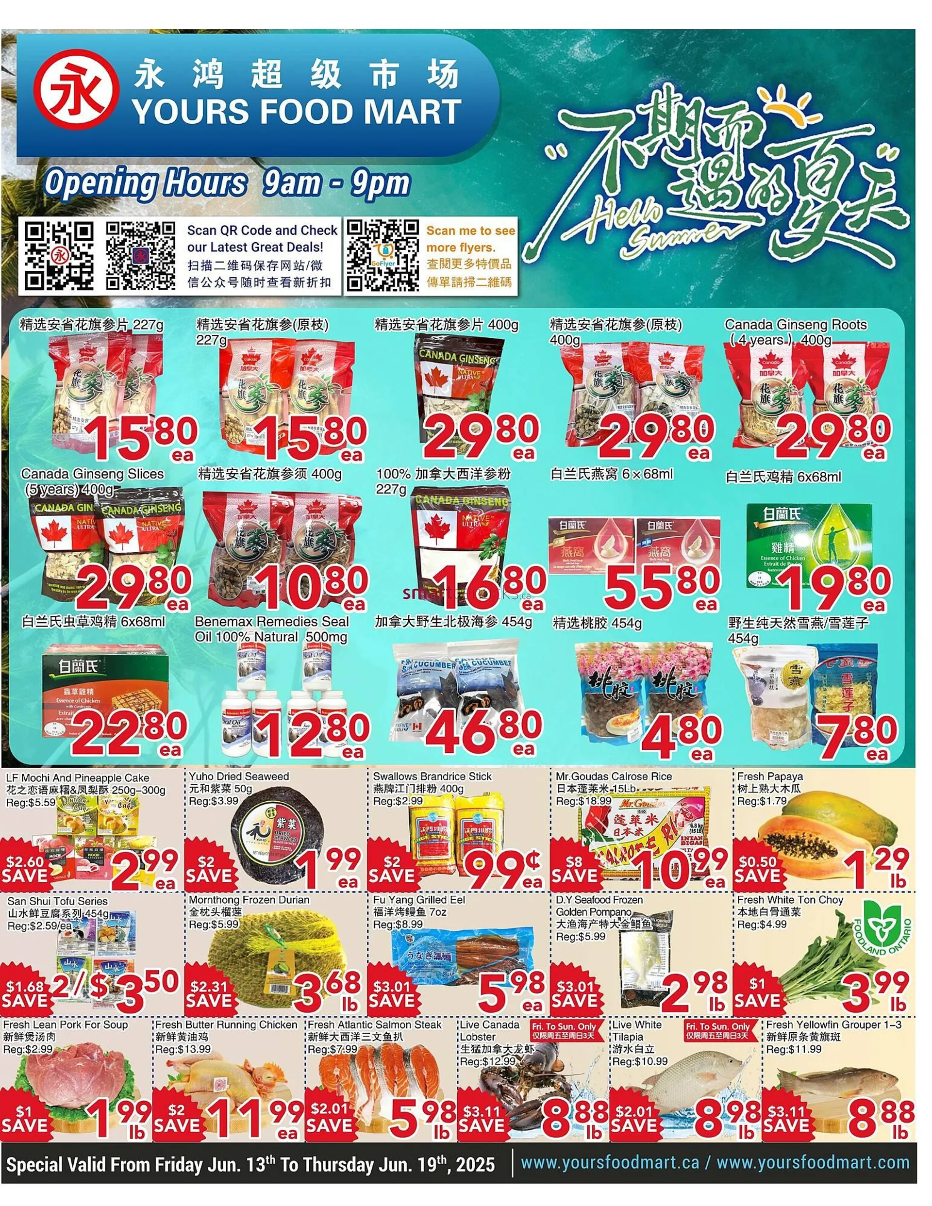Yours Food Mart flyer from June 13 to June 19 2025 - flyer page 1