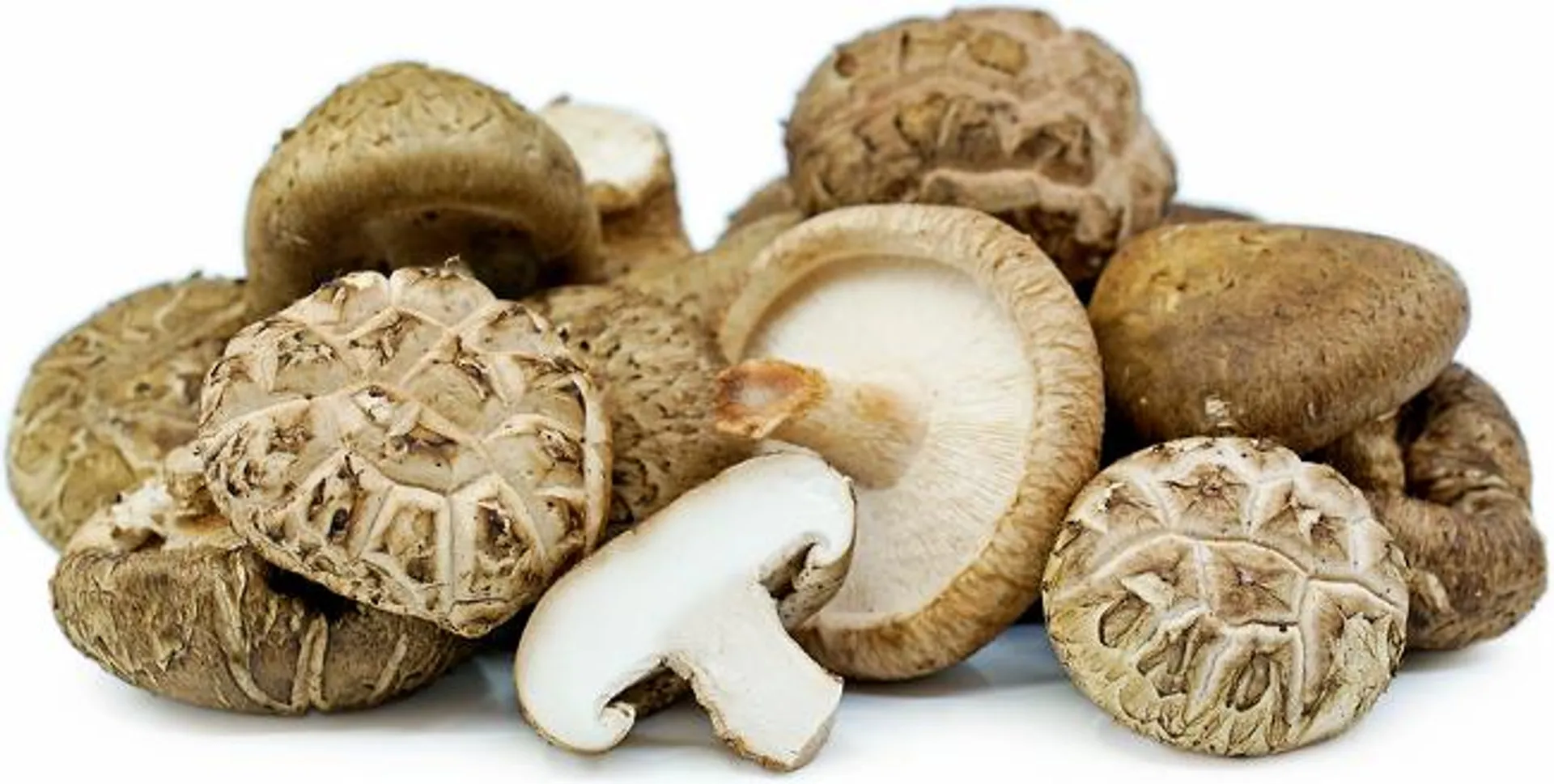 Fresh shiitake (approx 280g) - 1pack