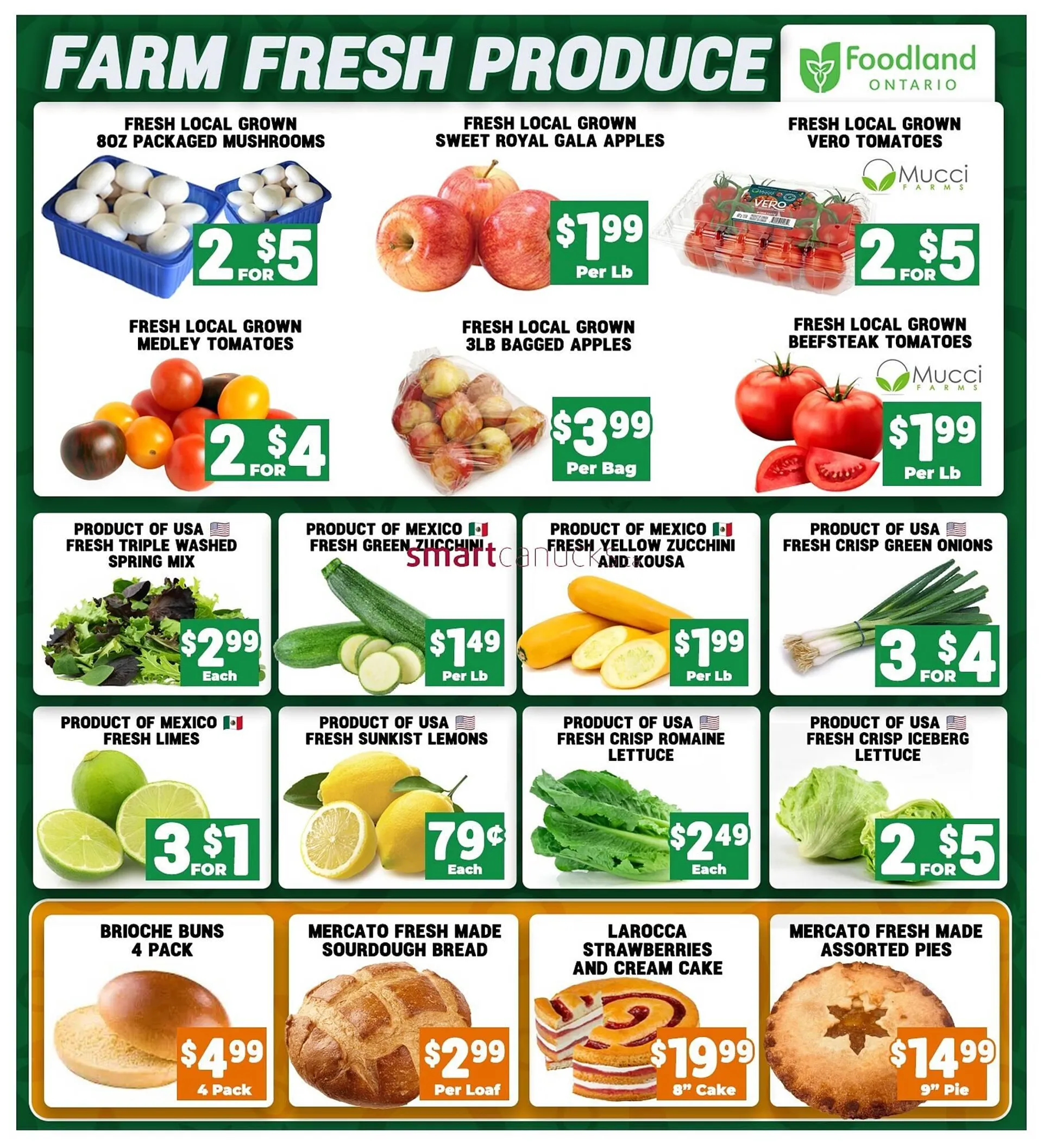 Mercato Fresh flyer from December 19 to December 25 2024 - flyer page 4