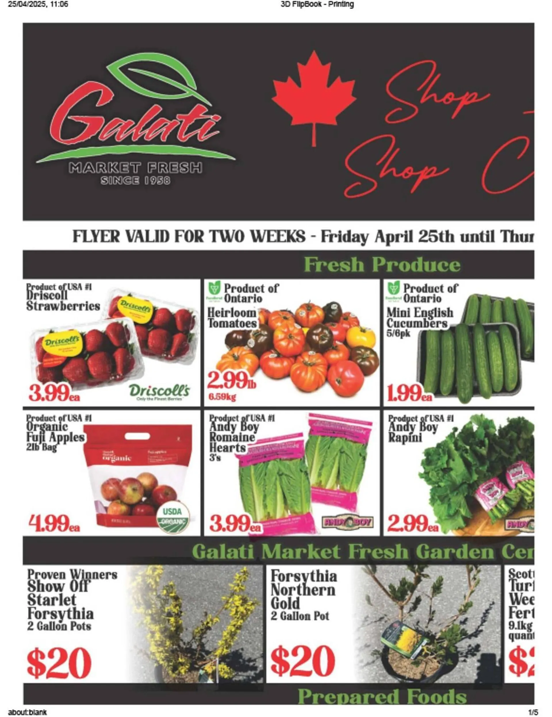 Galati Market Fresh flyer - 1