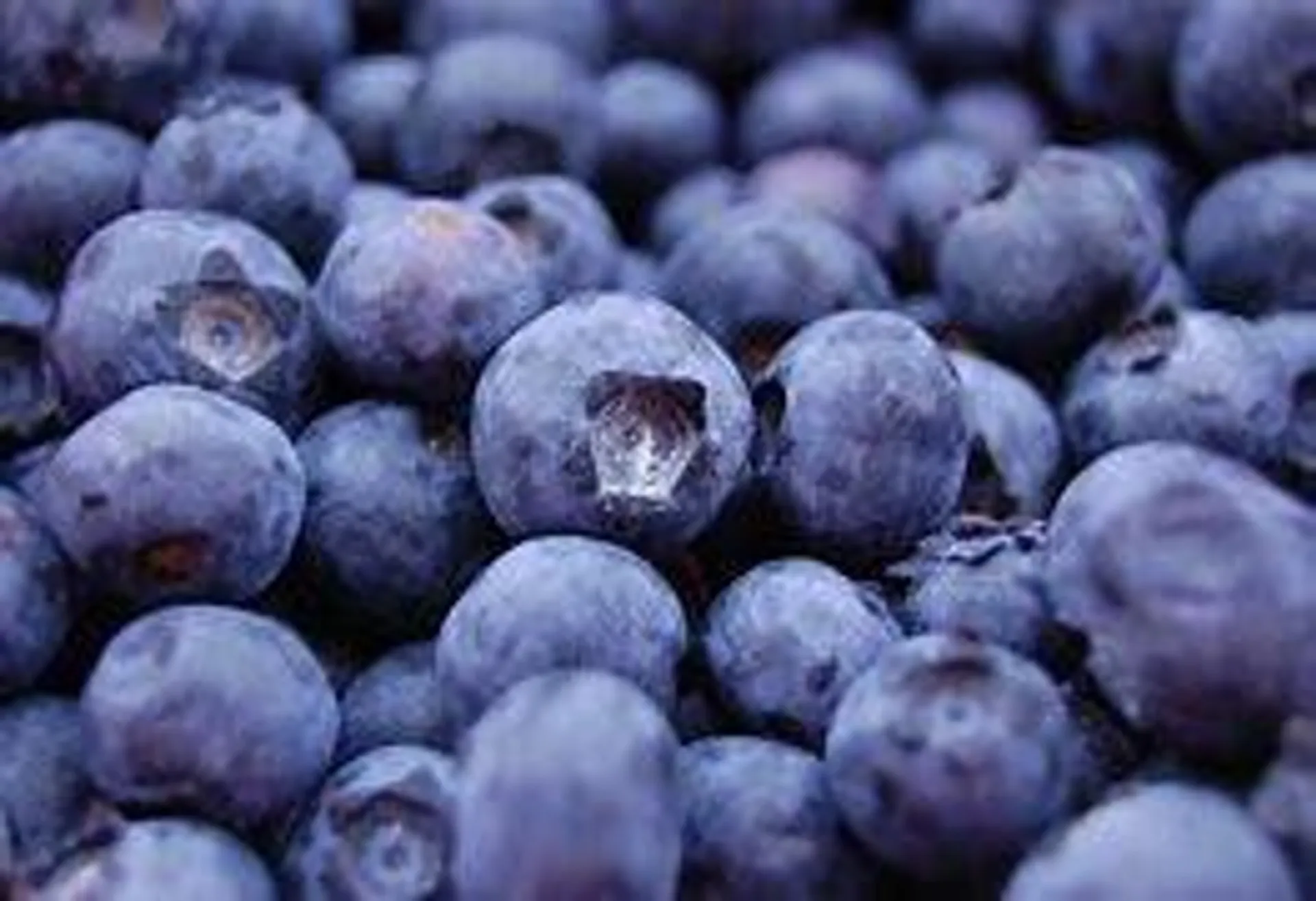 Nature's Partner Blueberries, 170 g