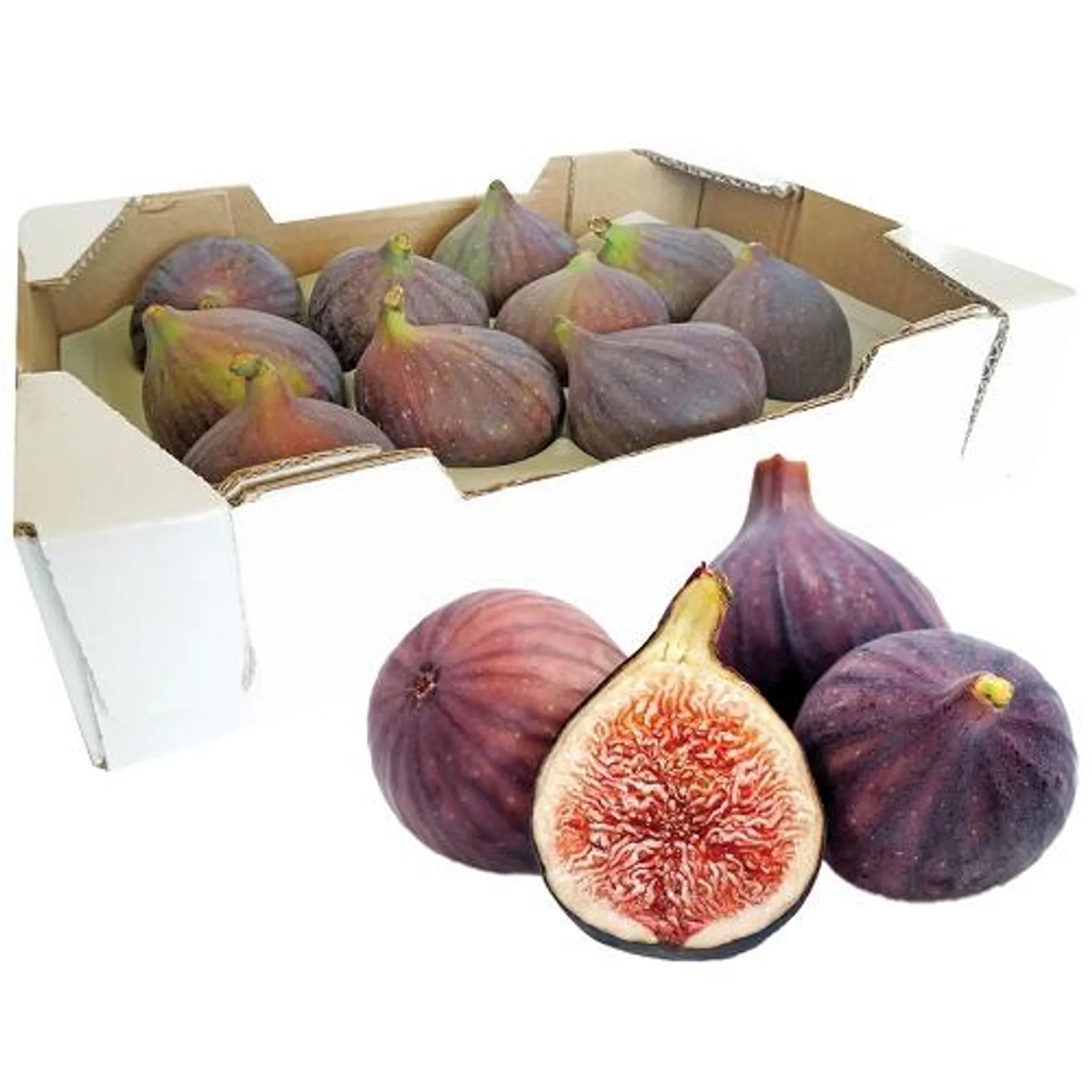 Fig /box