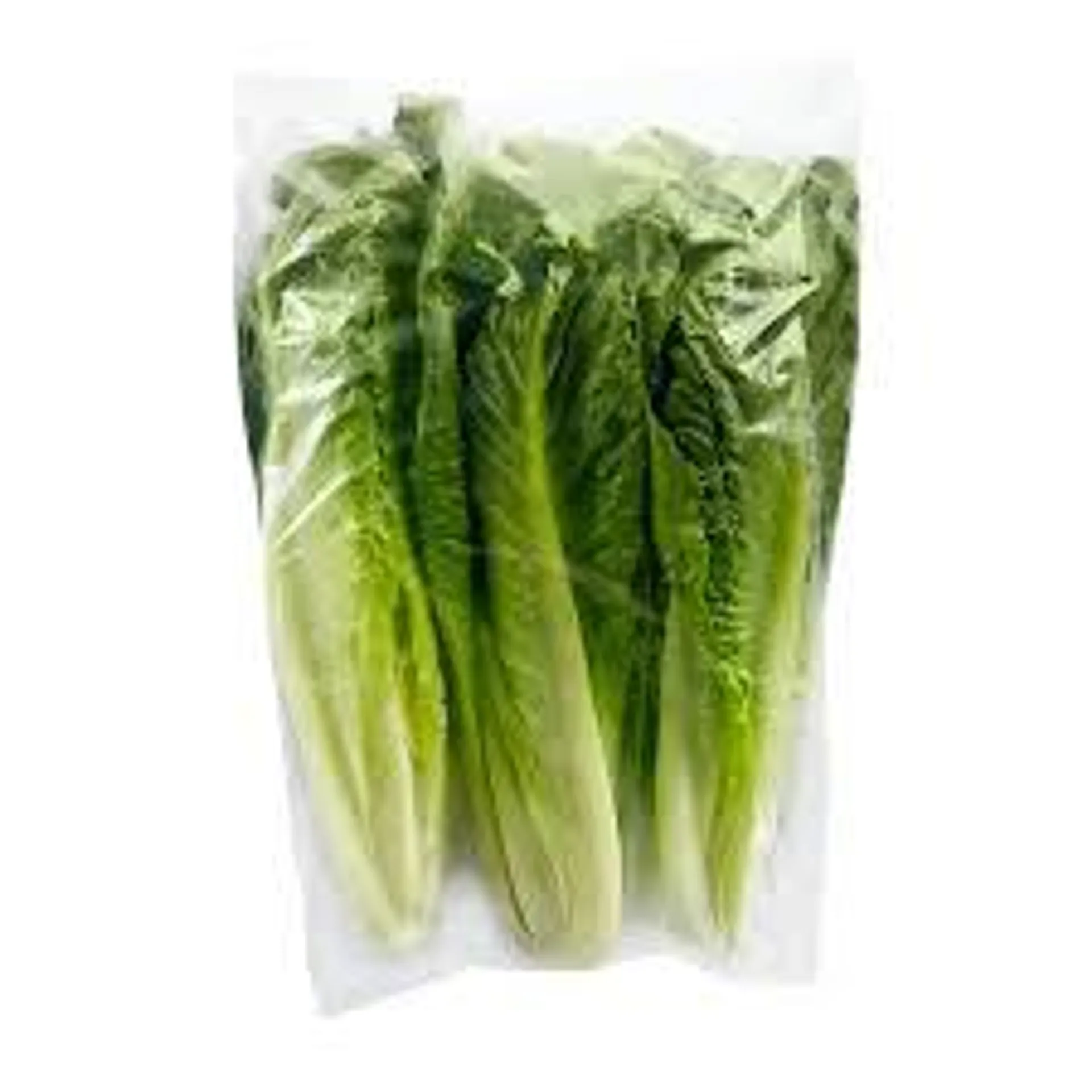 OUR COMPLIMENTS ROMAINE HEARTS