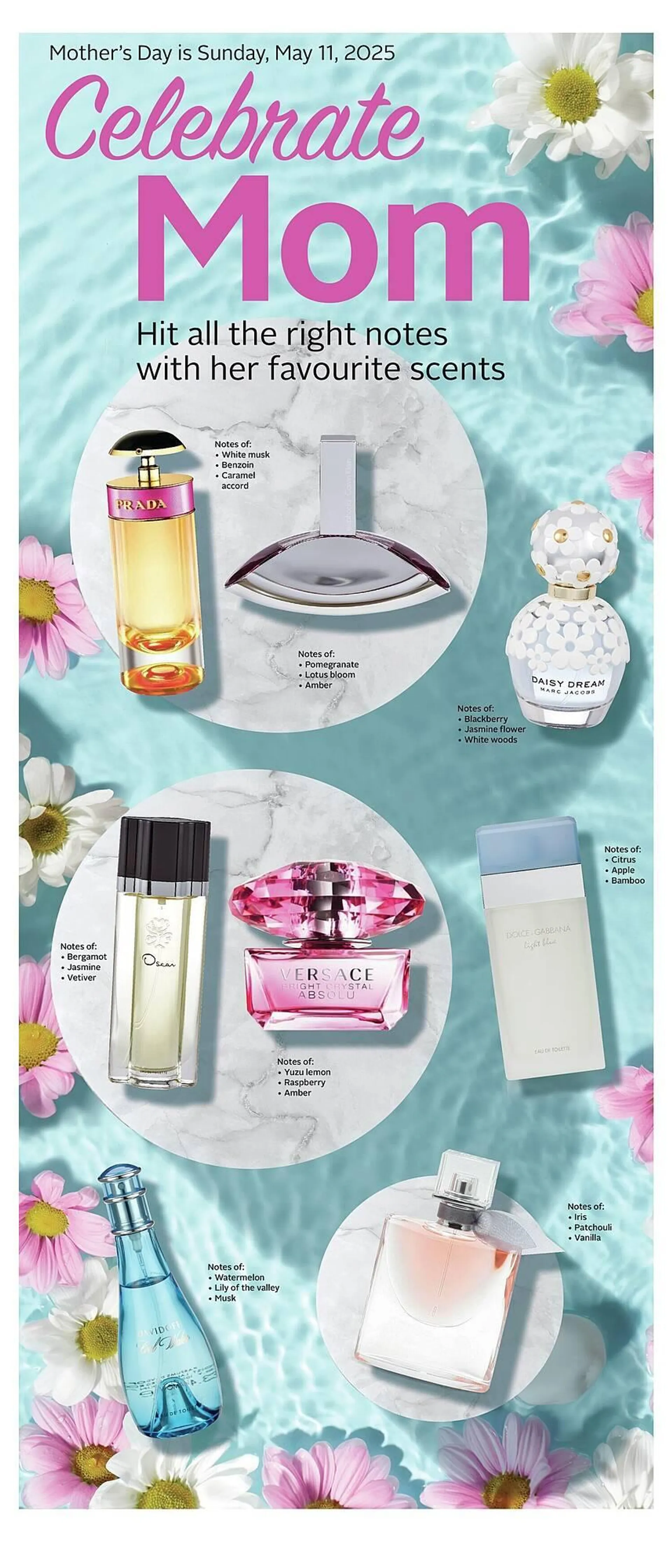 Rexall flyer from May 8 to May 15 2025 - flyer page 16