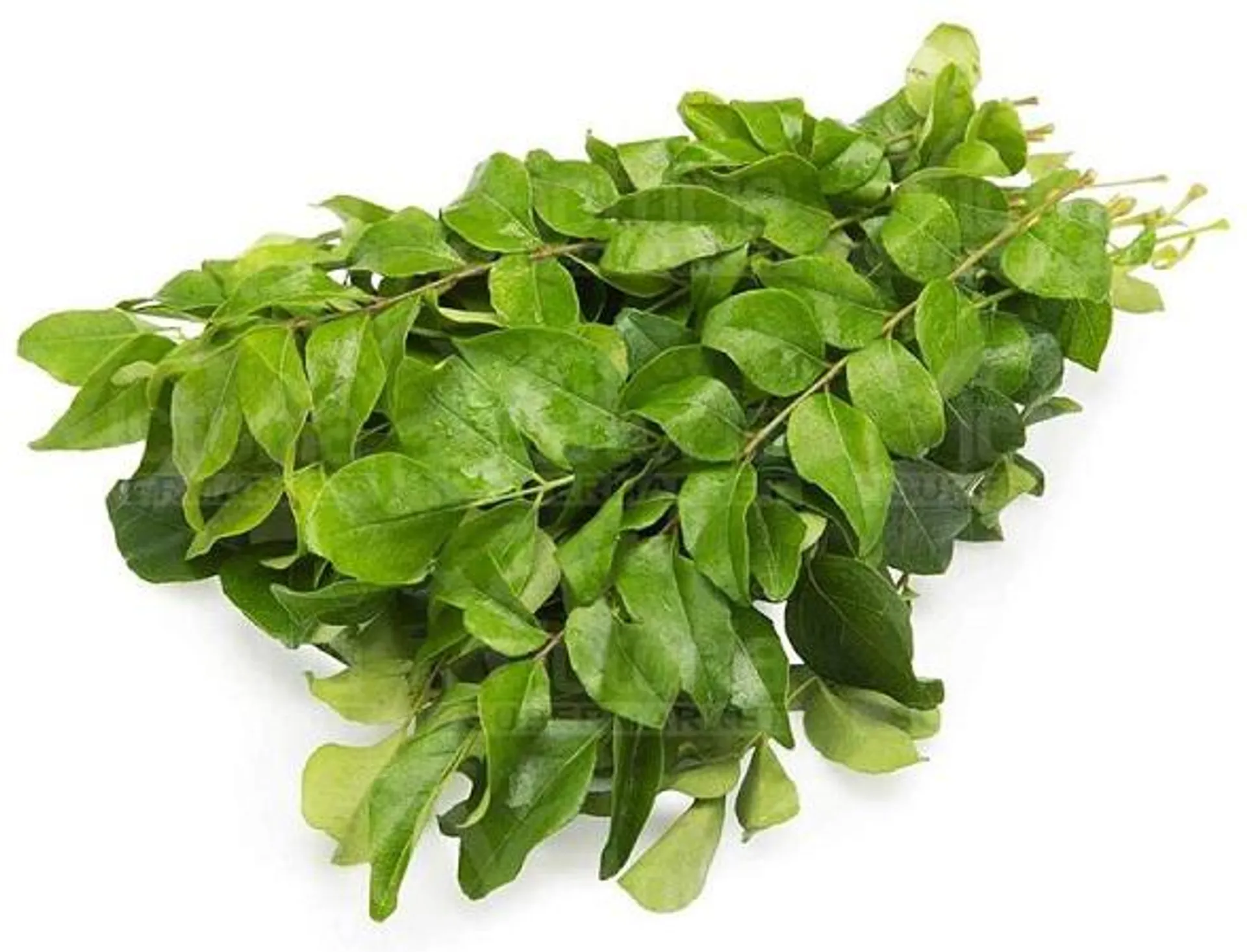 Curry leaves (approx 230g) - 1bag