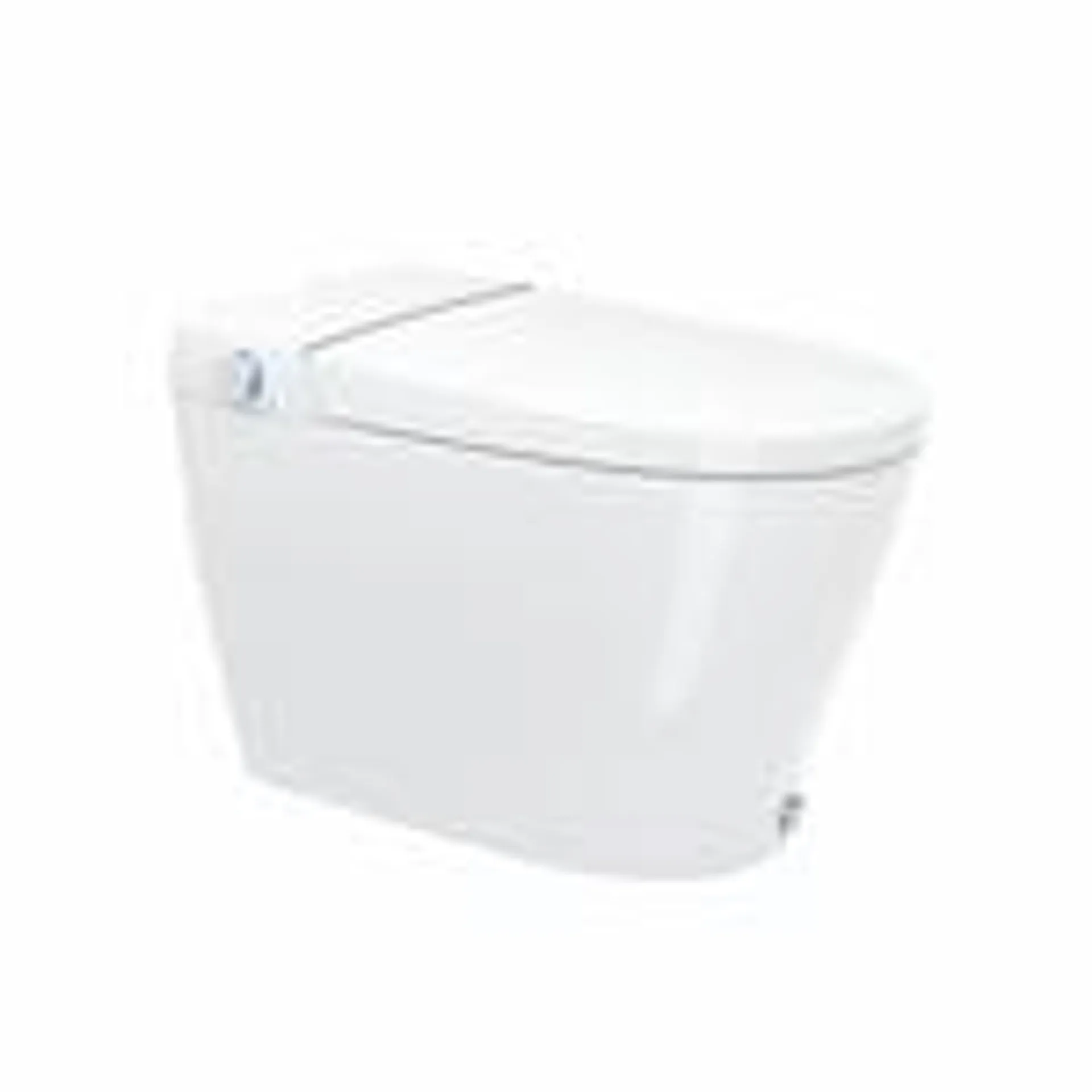 Lux 1-Piece 3.8 LPF Single Flush Elongated Standard Tankless Smart Bidet Toilet in White