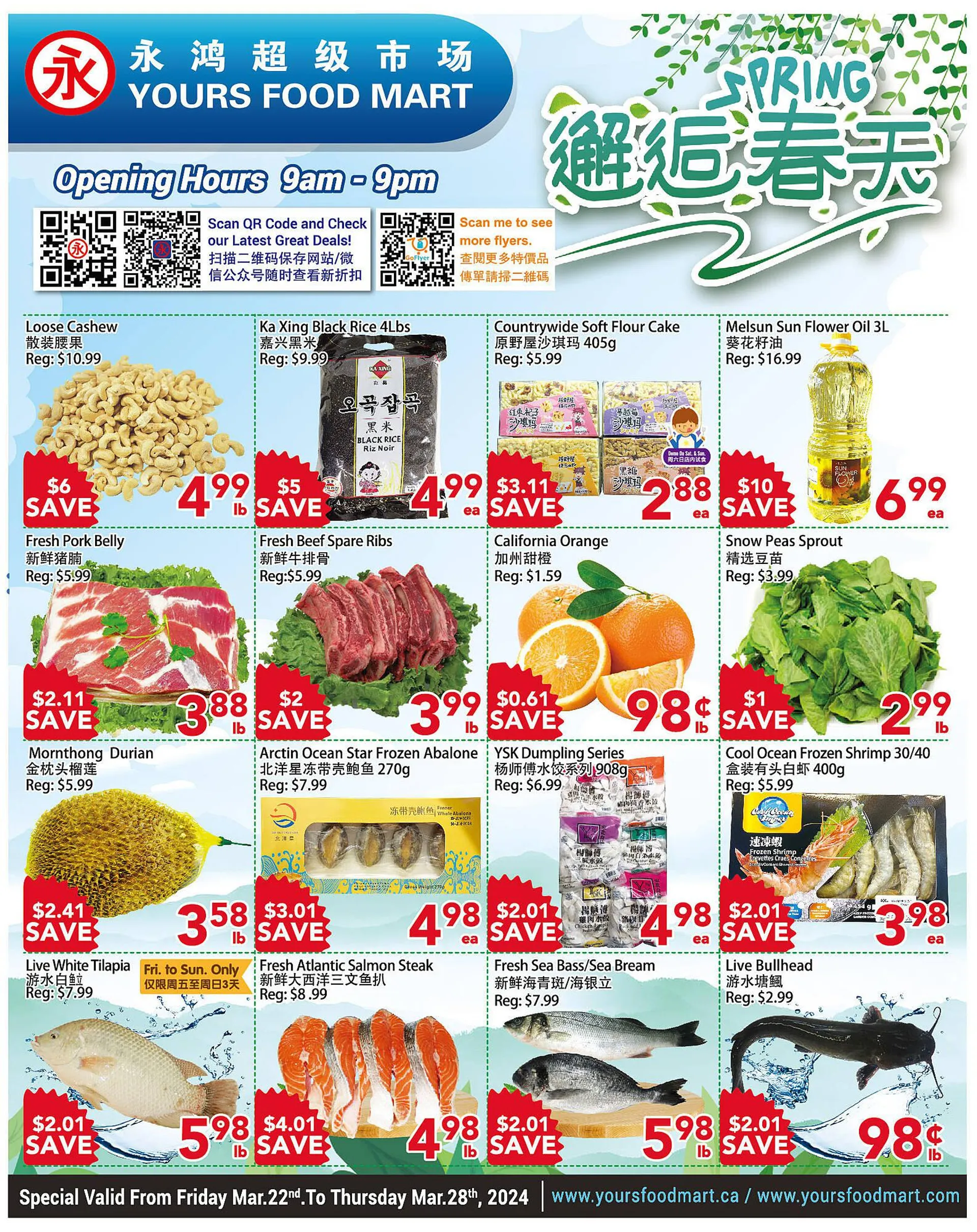 Yours Food Mart flyer from March 22 to March 28 2024 - flyer page 1
