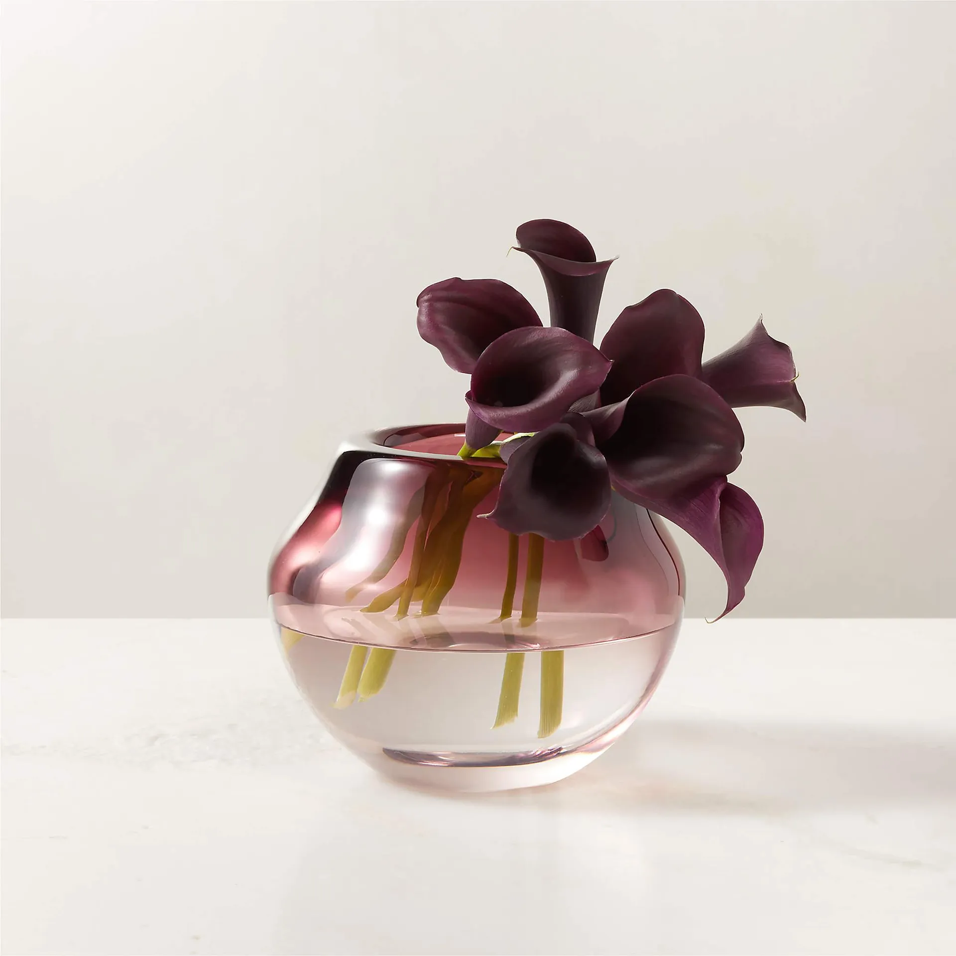 Regine Aubergine Purple Short Glass Vase by goop