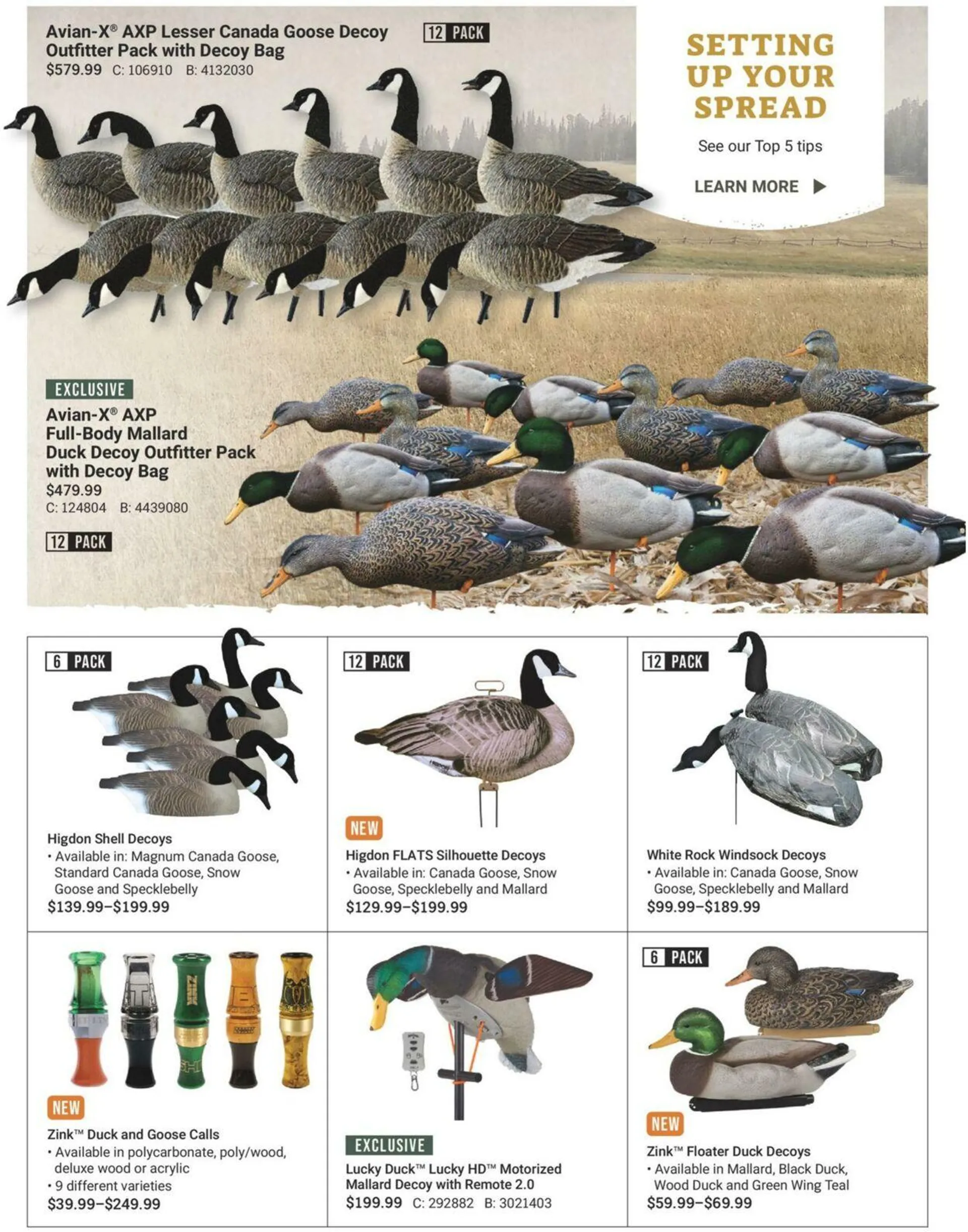 Bass Pro Current flyer from August 16 to October 31 2024 - flyer page 5