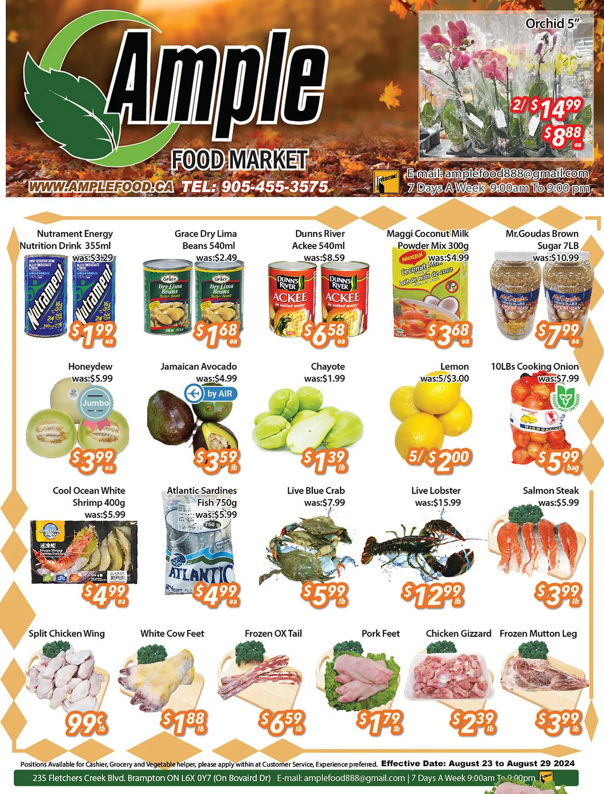 Ample Food Market flyer - 1