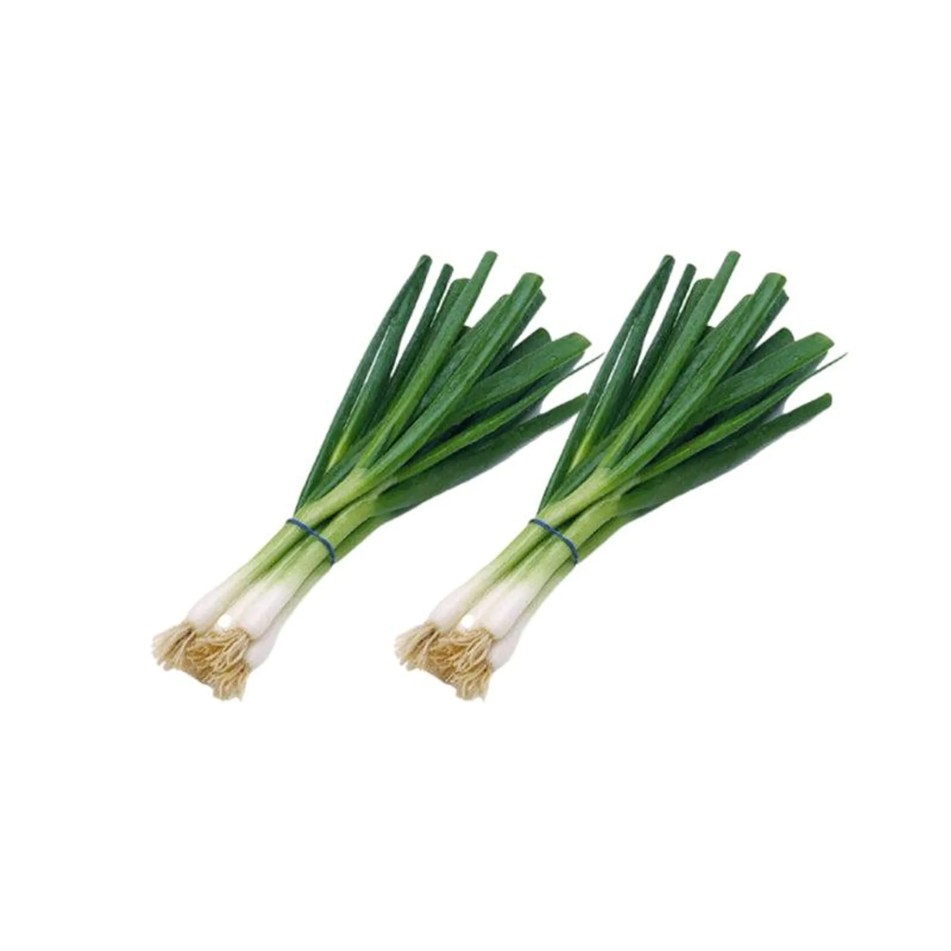 Green Onion (2 Bunches)