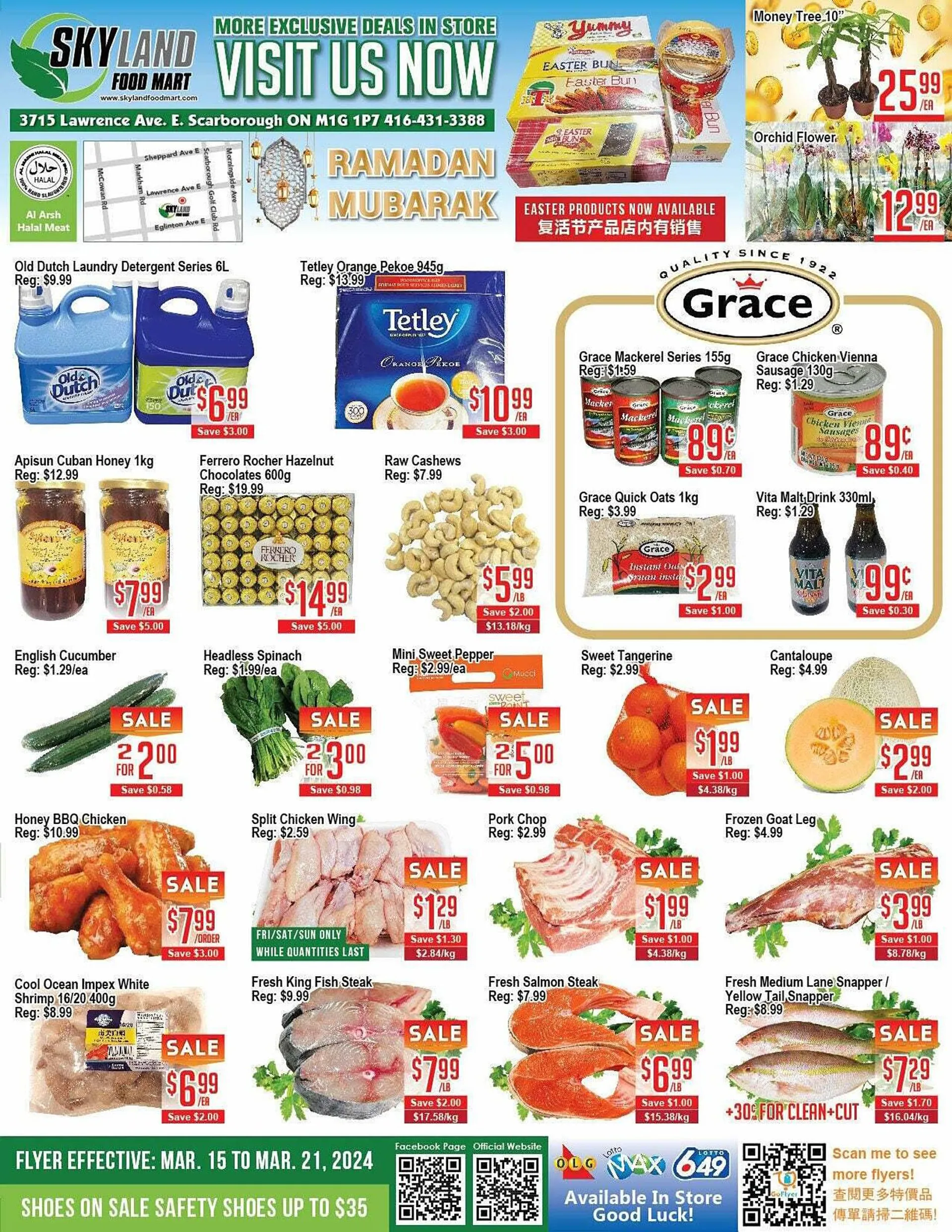 Skyland Foodmart flyer from March 15 to March 22 2024 - flyer page 1