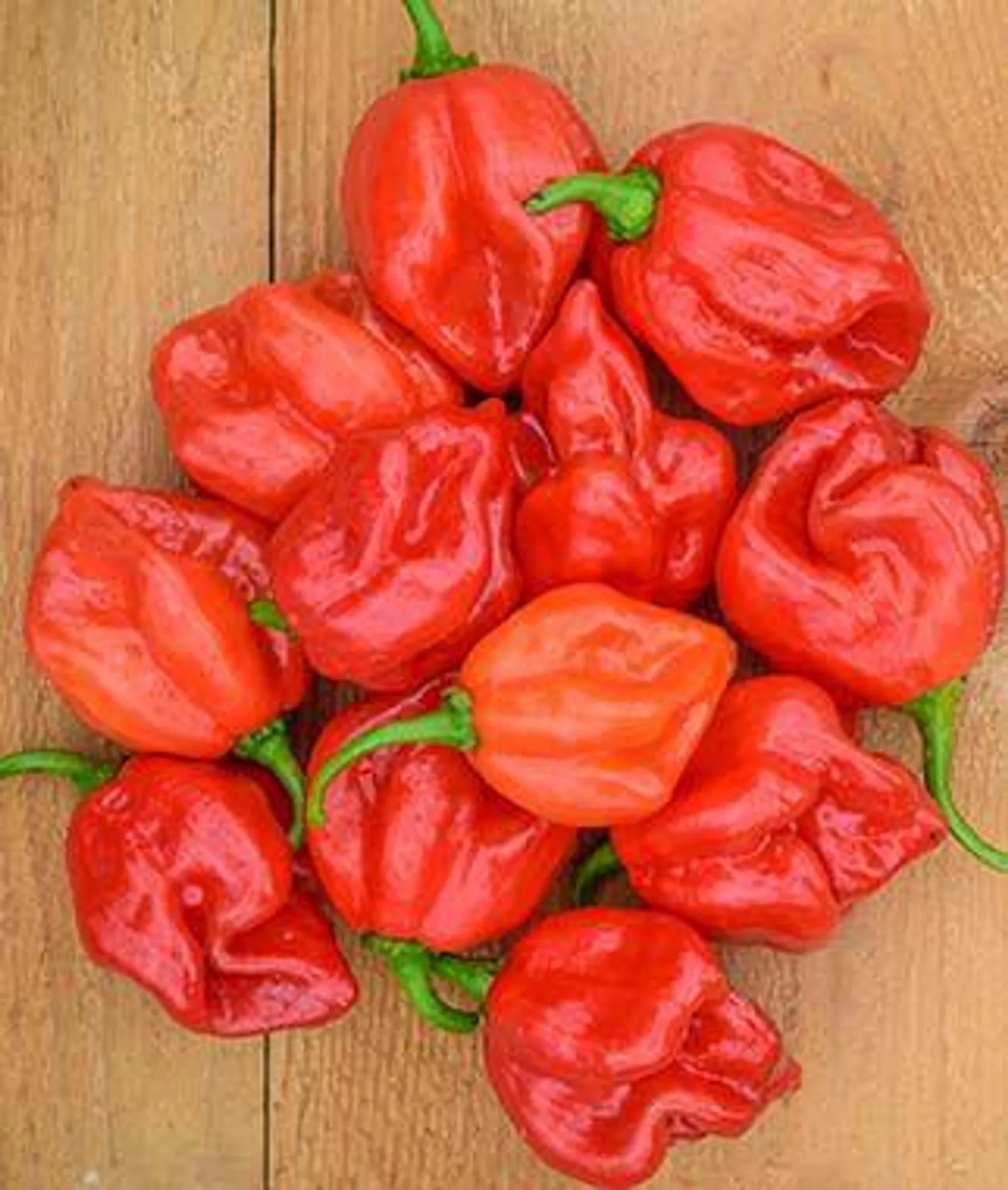 Red scotch bonnet pepper(approx 150g) - 1pack