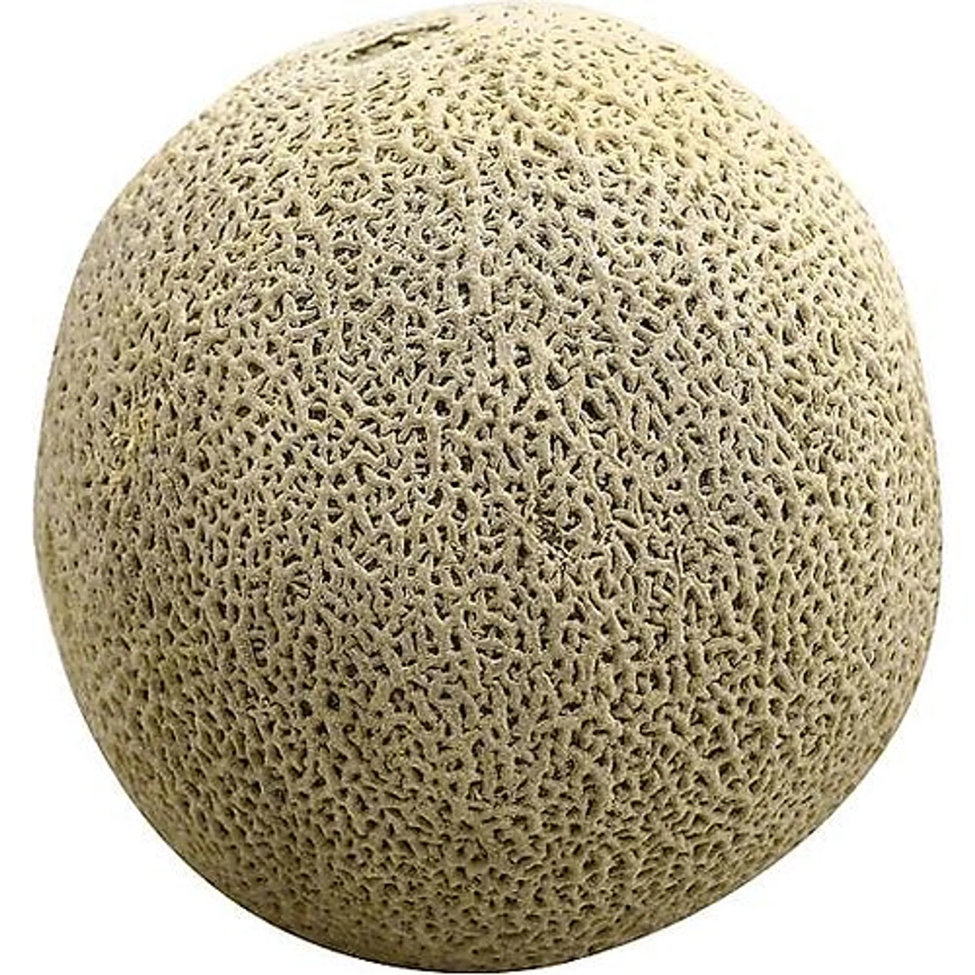 Jumbo Cantaloupe Melons