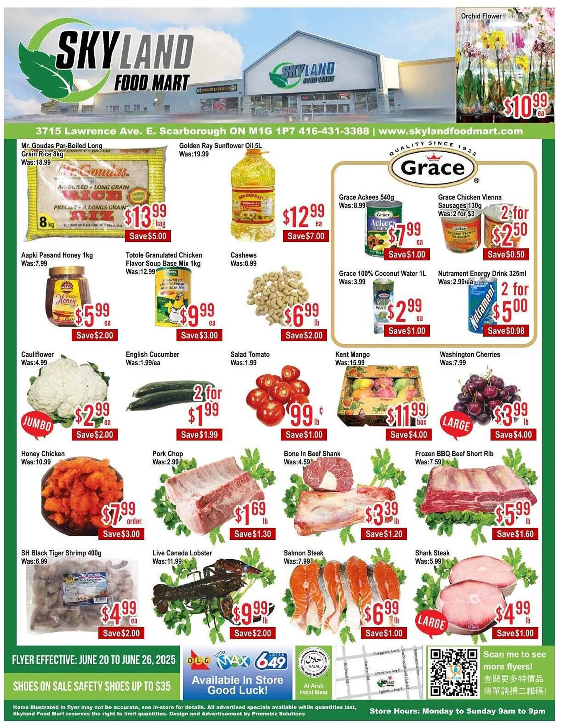 Skyland Foodmart flyer from June 20 to June 27 2025 - flyer page 1