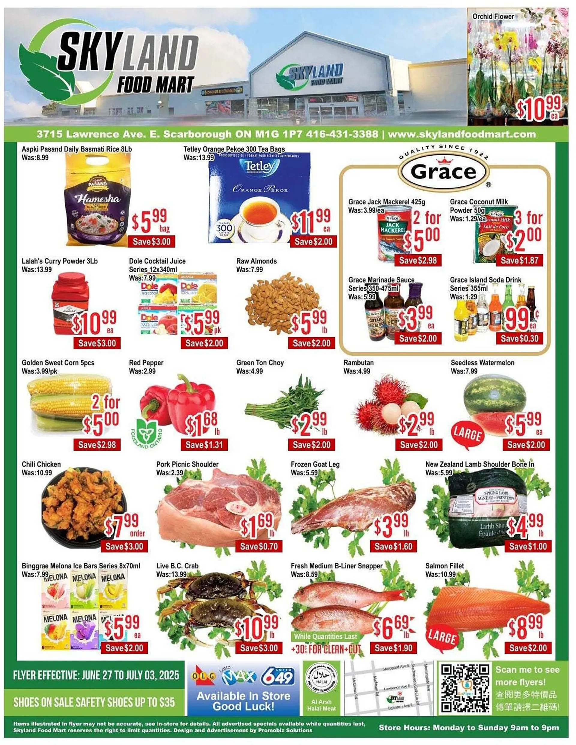 Skyland Foodmart flyer from June 26 to July 3 2025 - flyer page 1