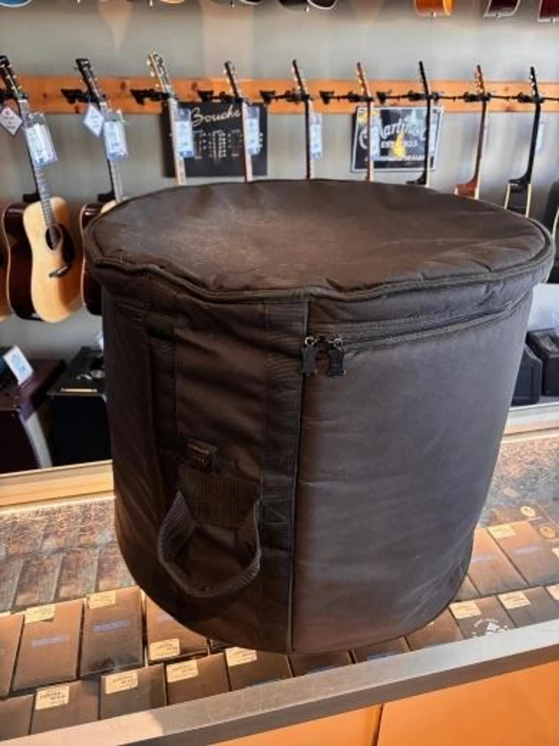 levys gig bag