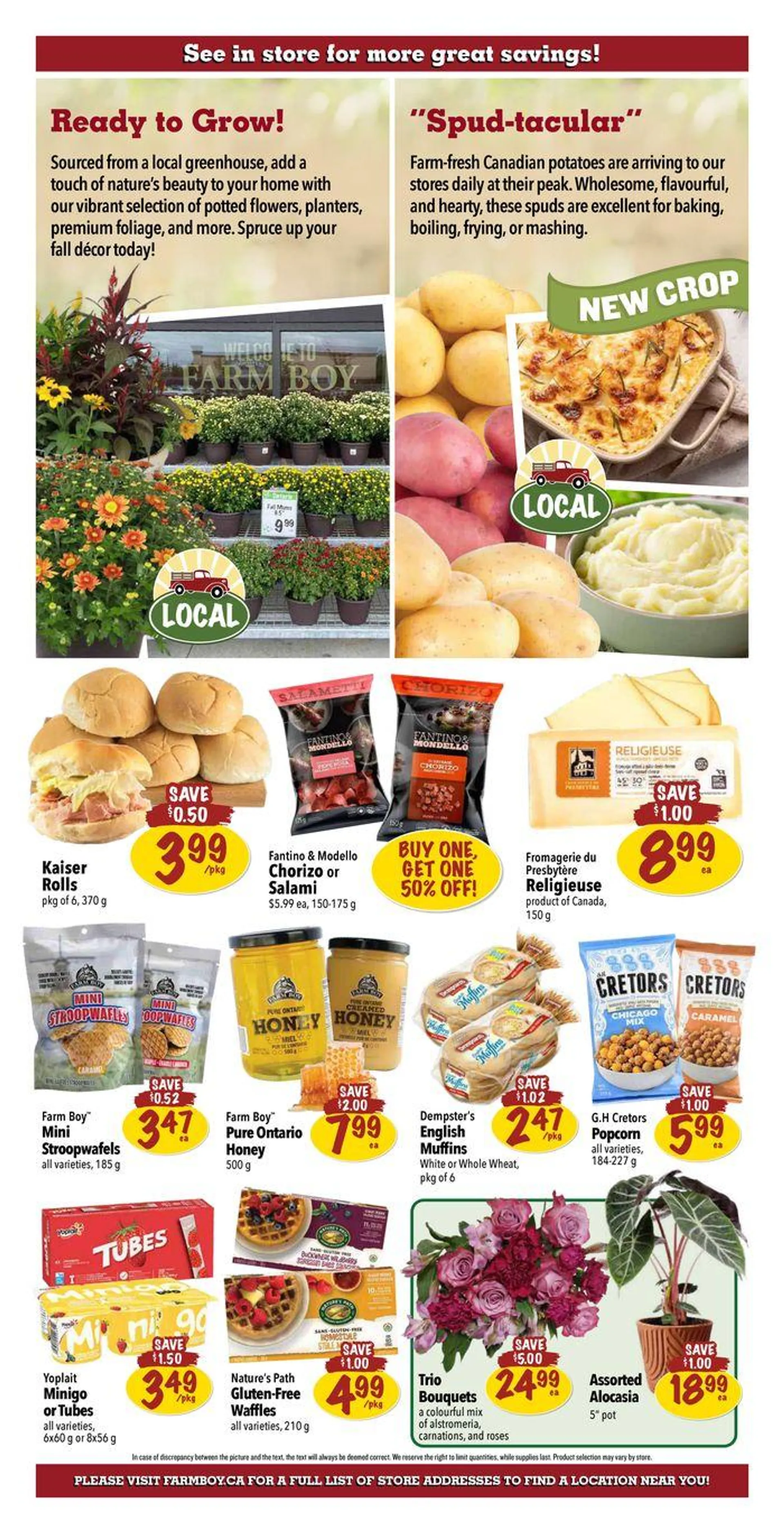 Farm Boy weekly flyer from September 5 to September 19 2024 - flyer page 3