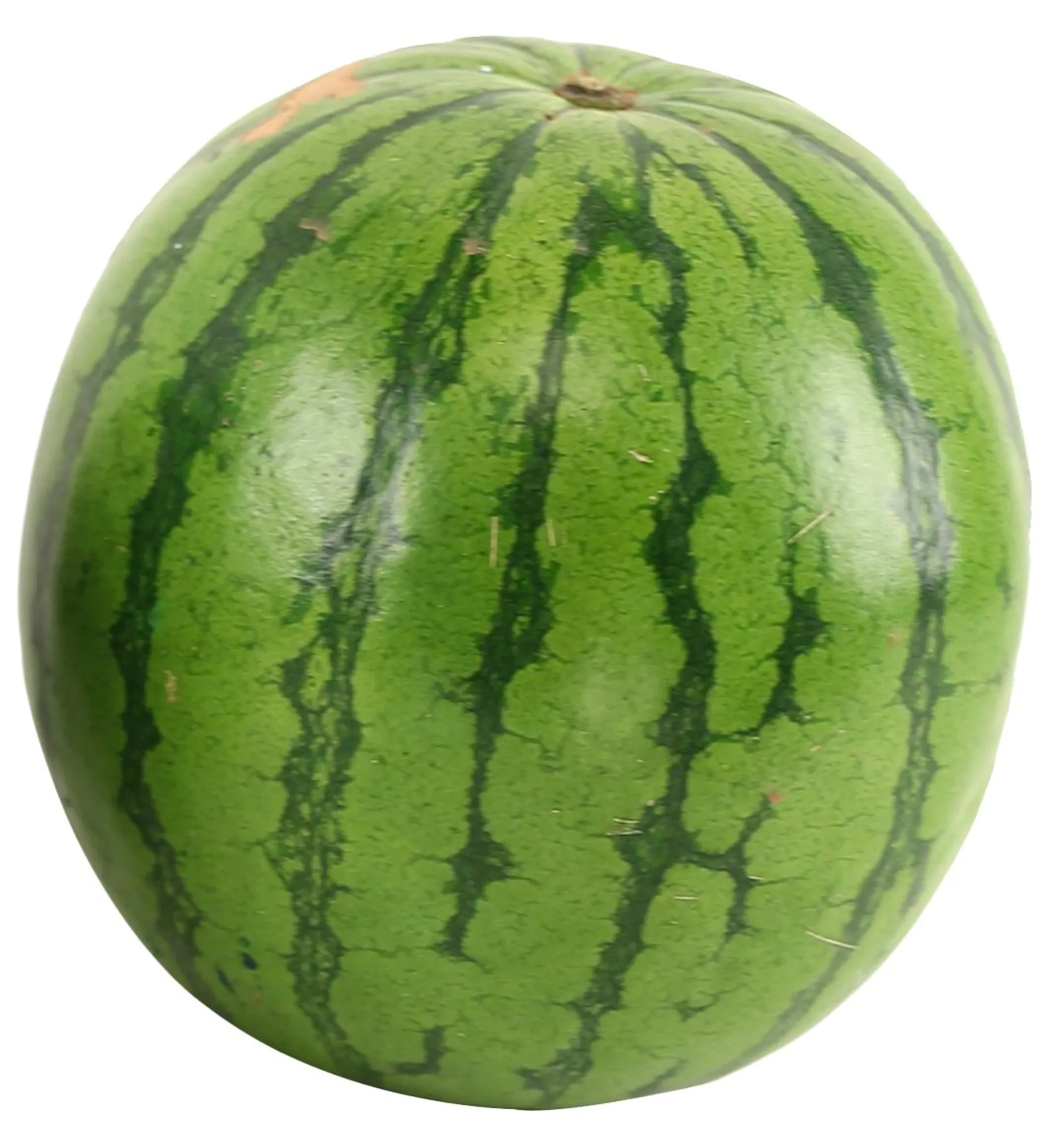 Seedless Watermelon