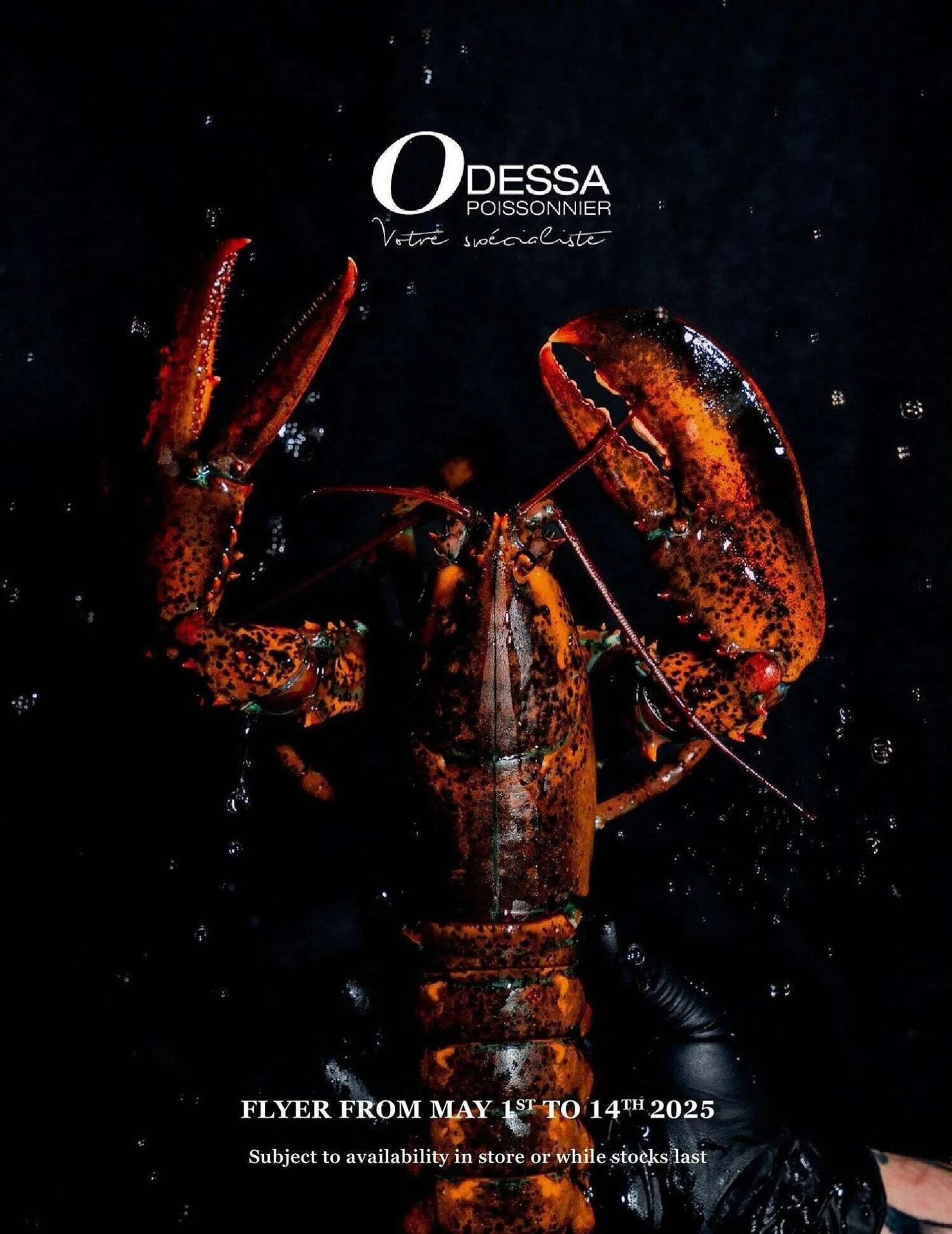 Odessa Poissonnier flyer - 1