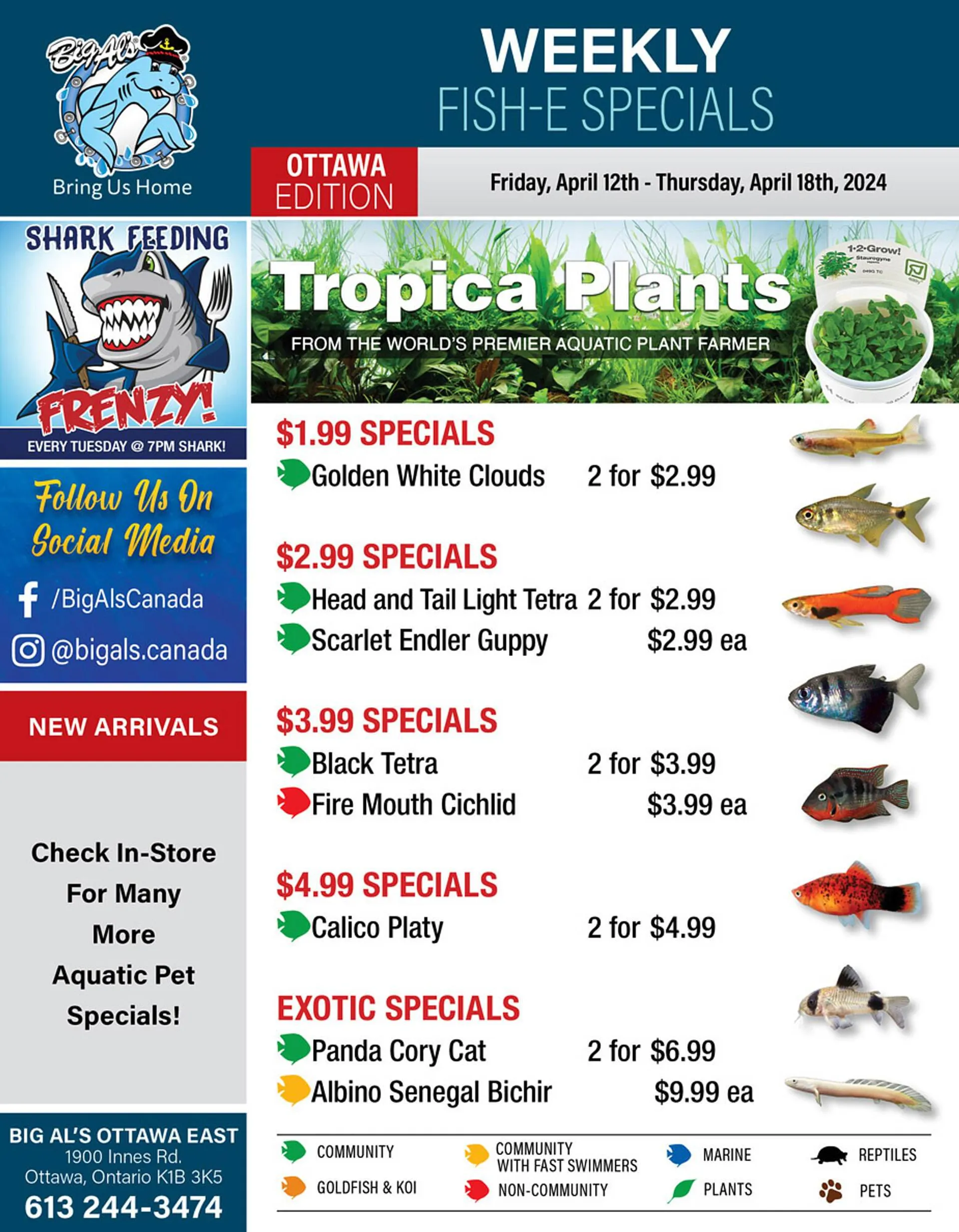 Big Al&#x27;s Pets flyer - 1