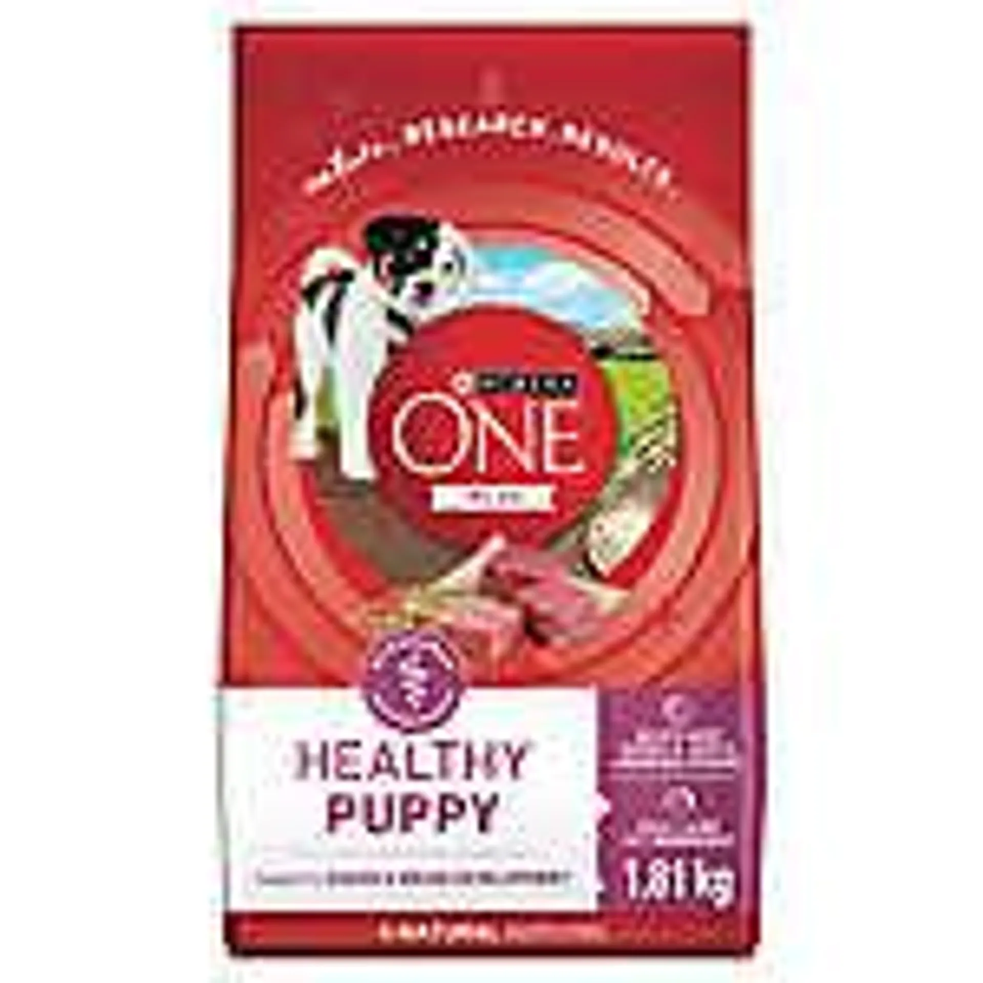 Purina ONE SmartBlend Puppy Food - Lamb & Rice