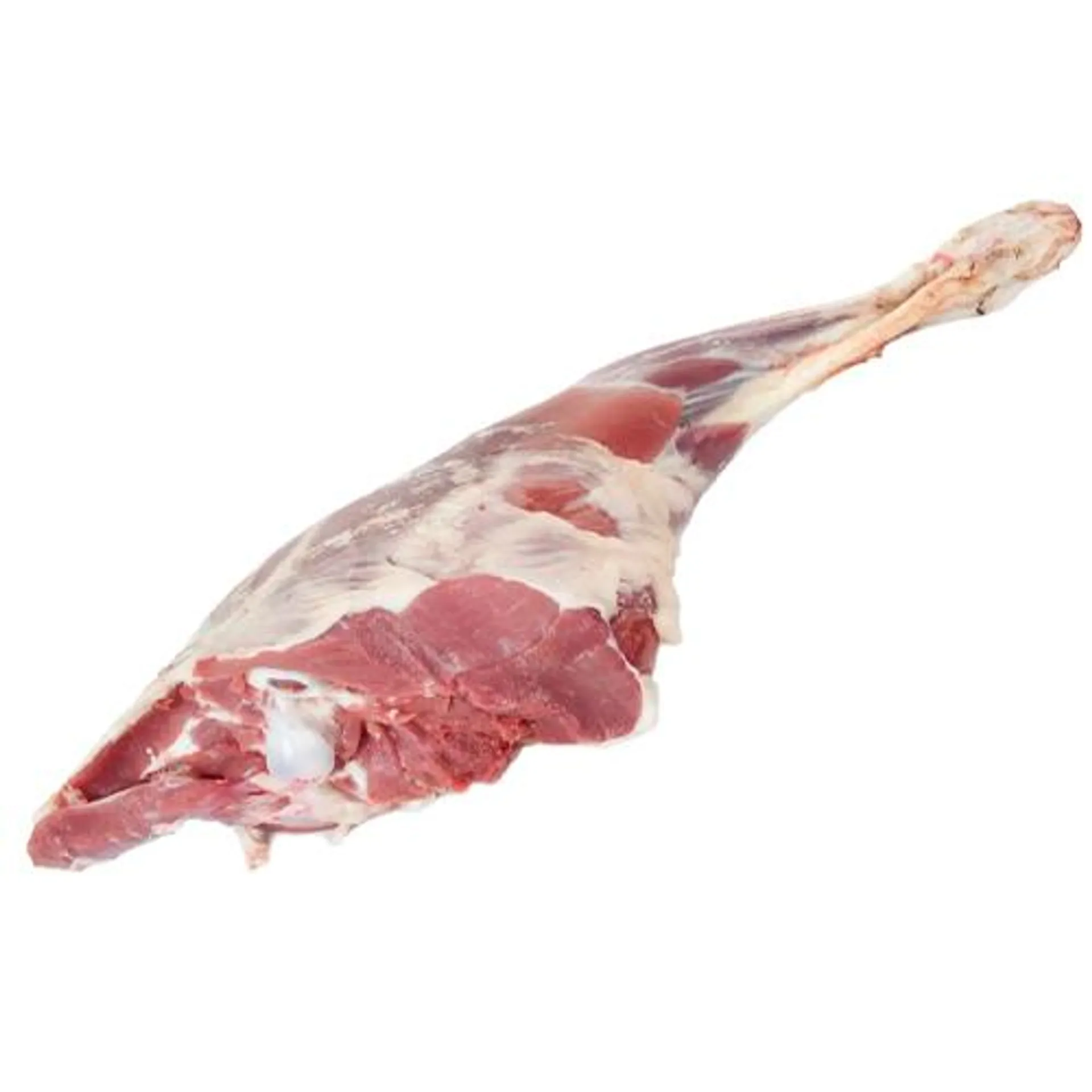 Baby Goat Leg