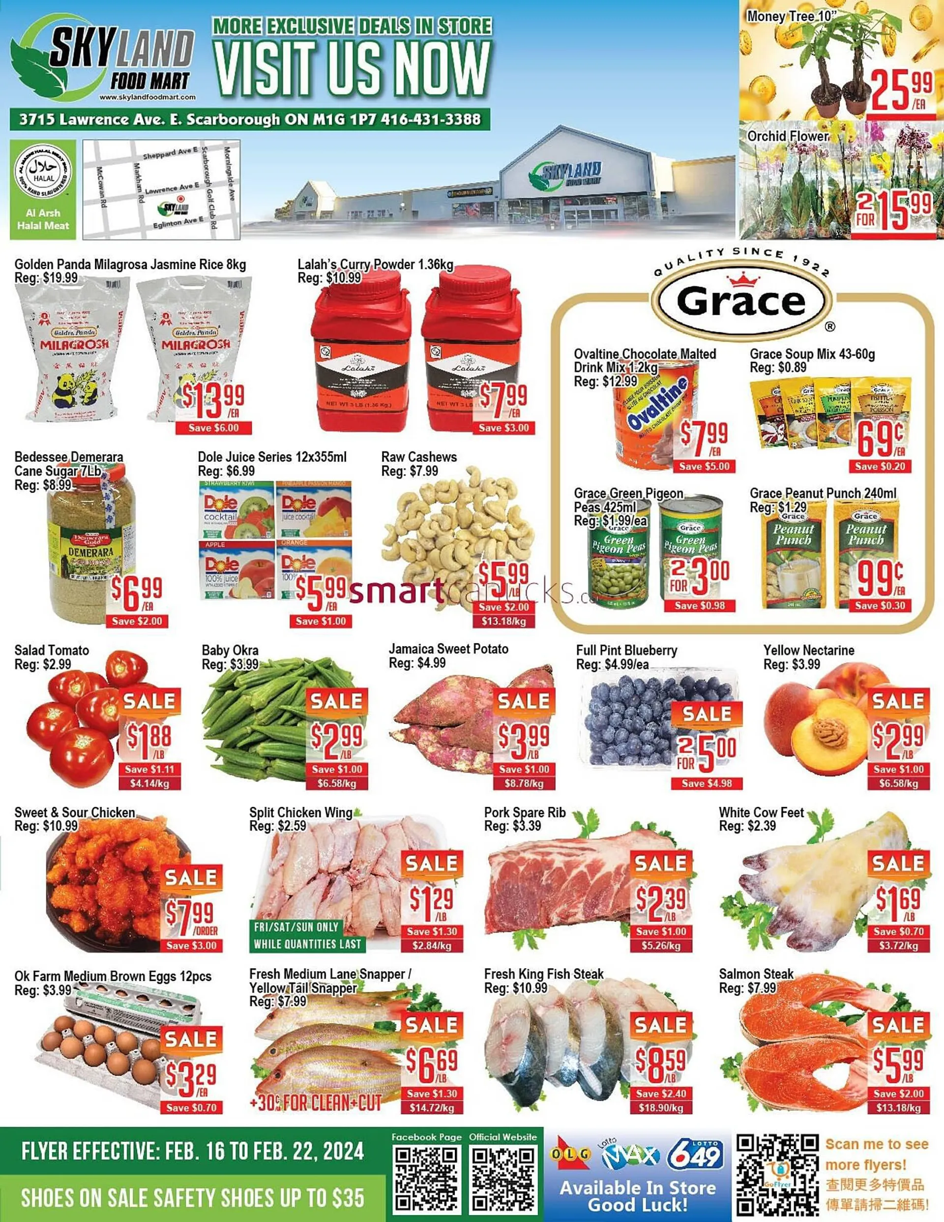 Skyland Foodmart flyer from February 16 to February 22 2024 - flyer page 