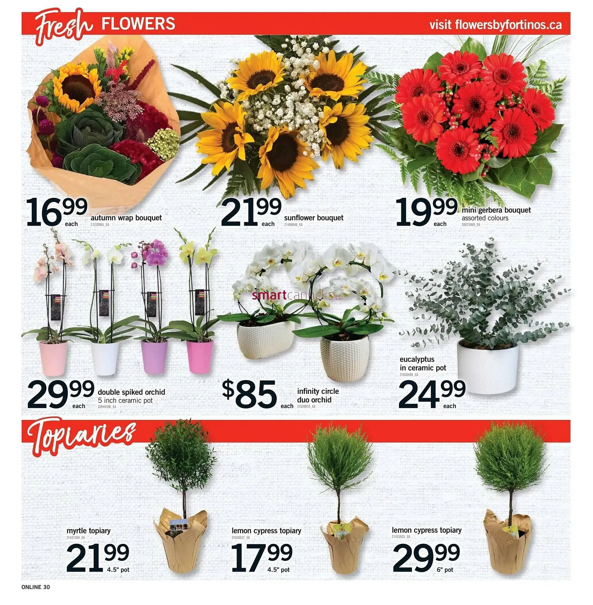 Fortinos flyer - 29