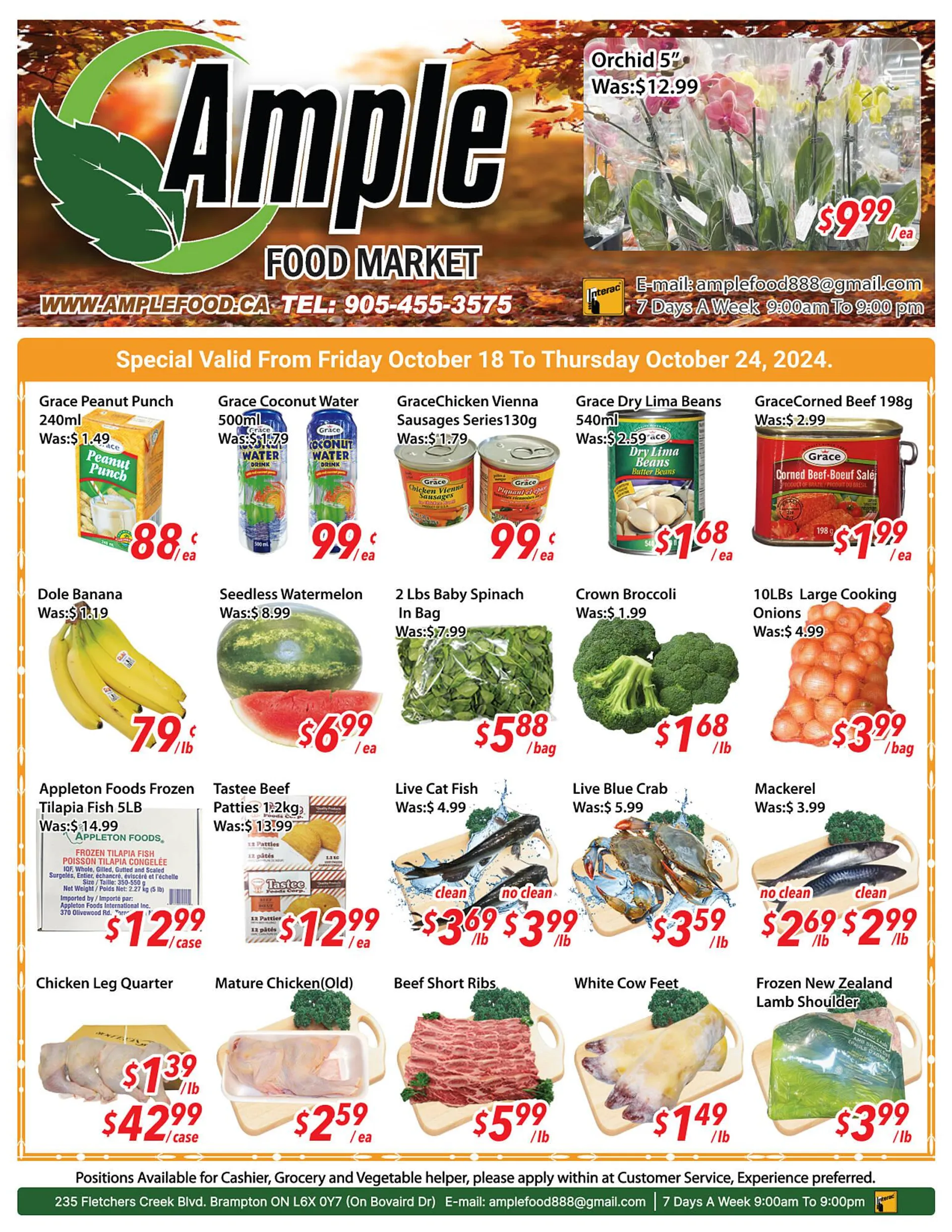 Ample Food Market flyer - 1