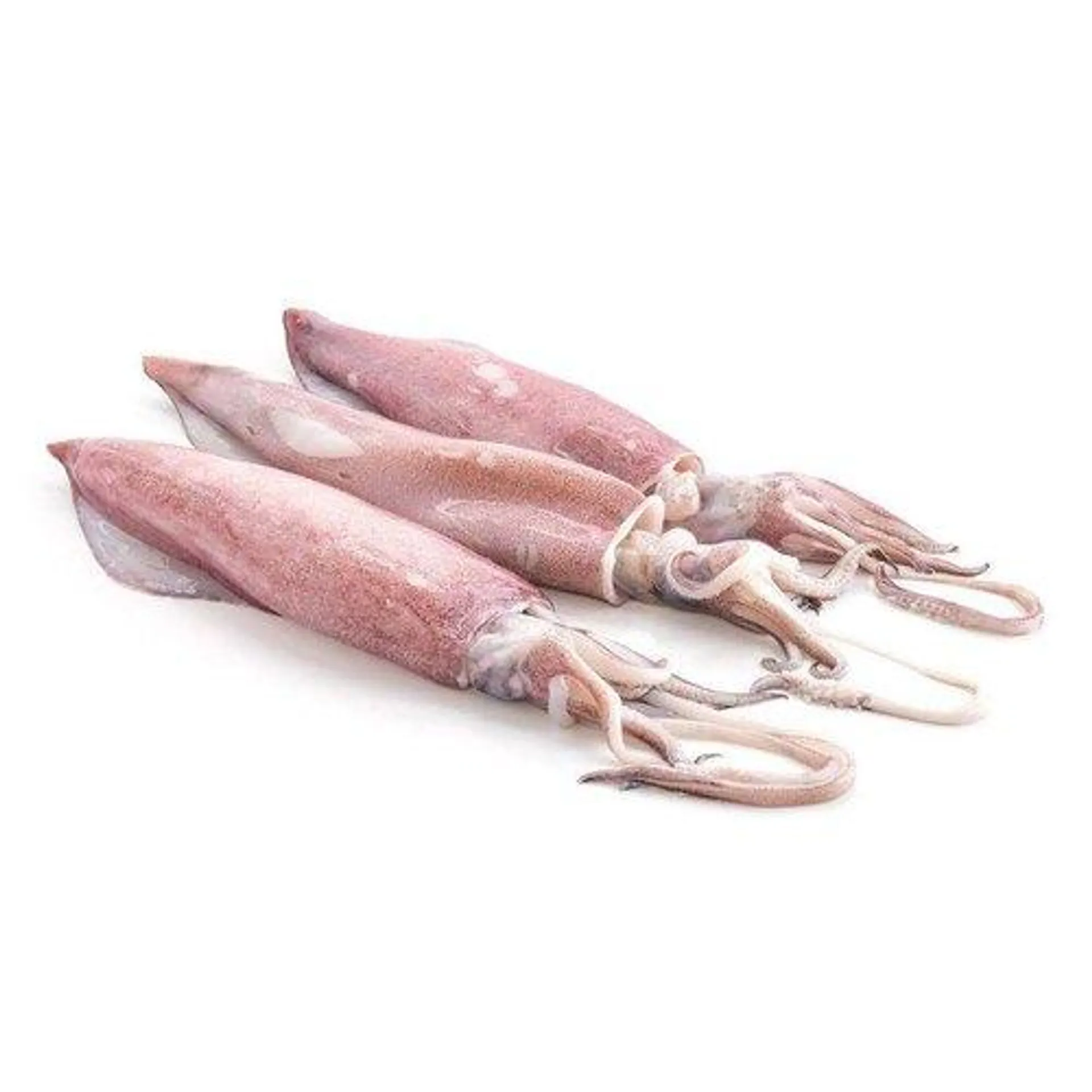 Delicious Flame Squid 500g