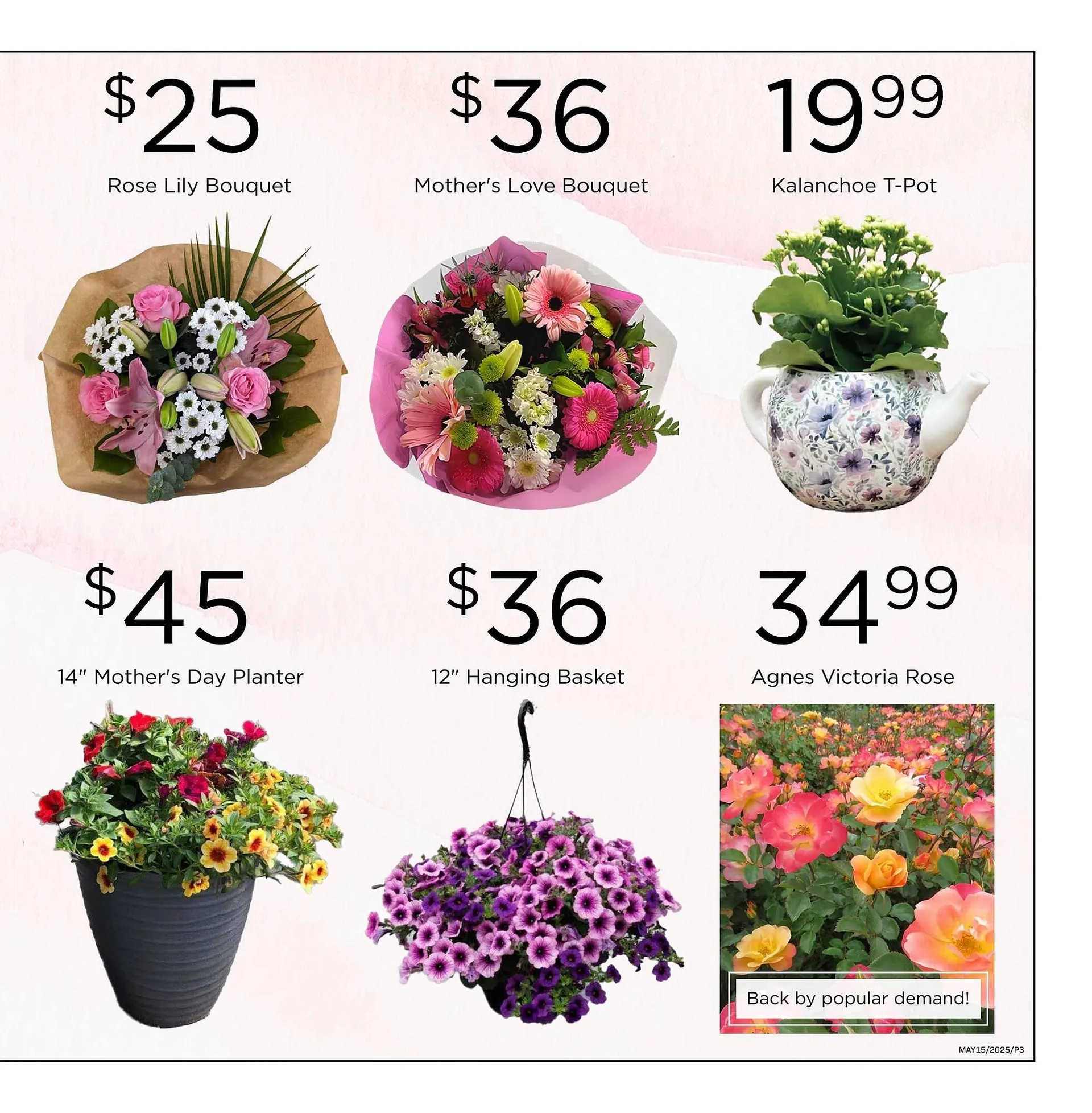 Freson Bros flyer from May 9 to May 15 2025 - flyer page 3