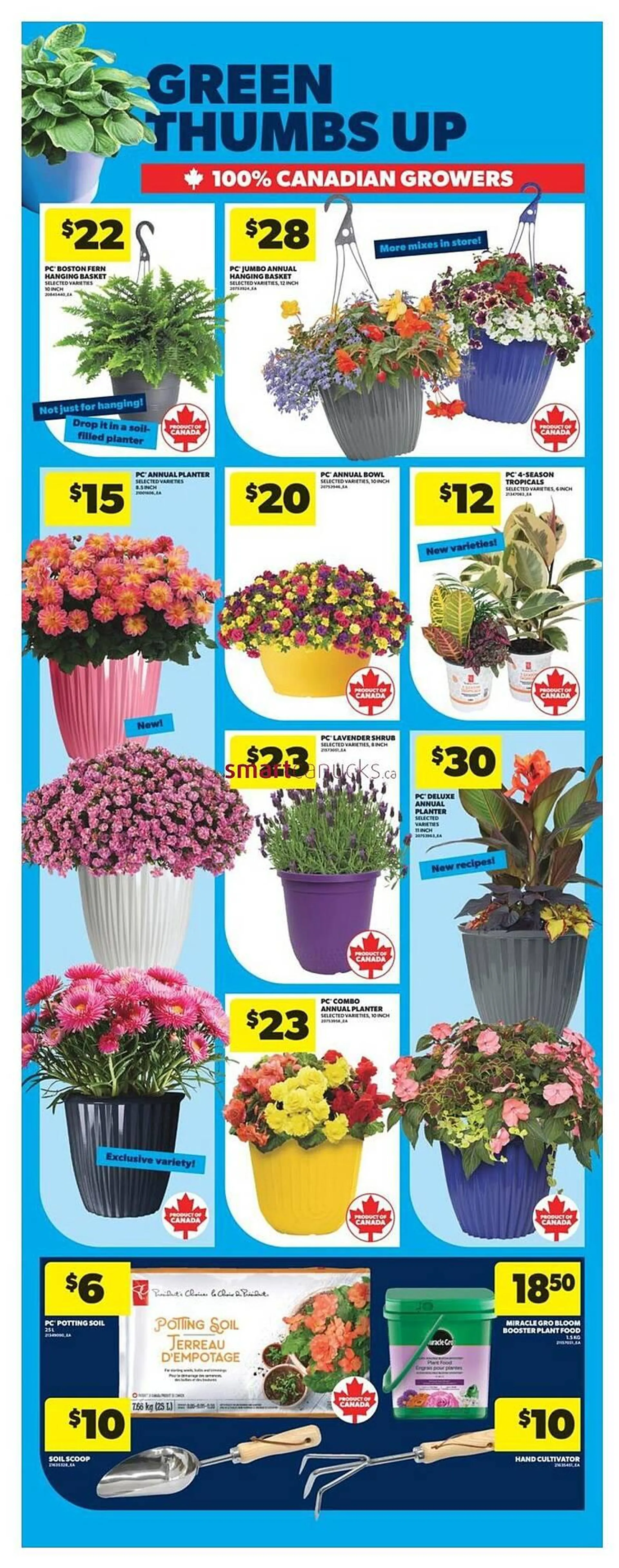 Real Canadian Superstore flyer from May 8 to May 14 2025 - flyer page 44