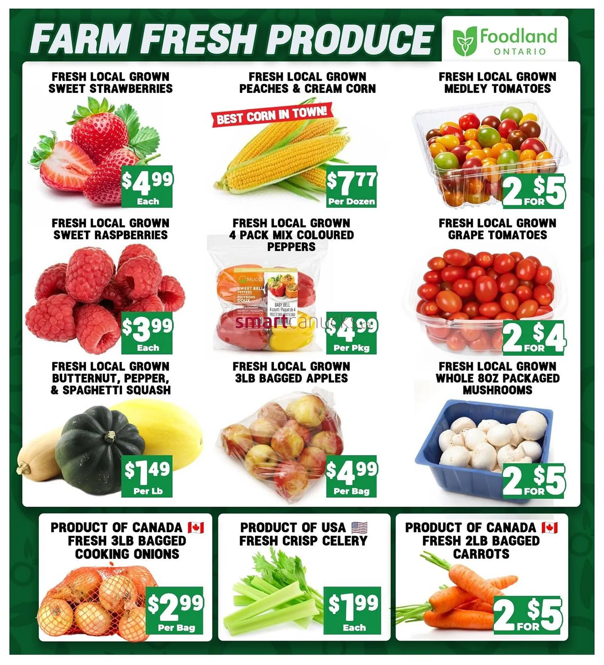 Mercato Fresh flyer from September 12 to September 18 2024 - flyer page 2