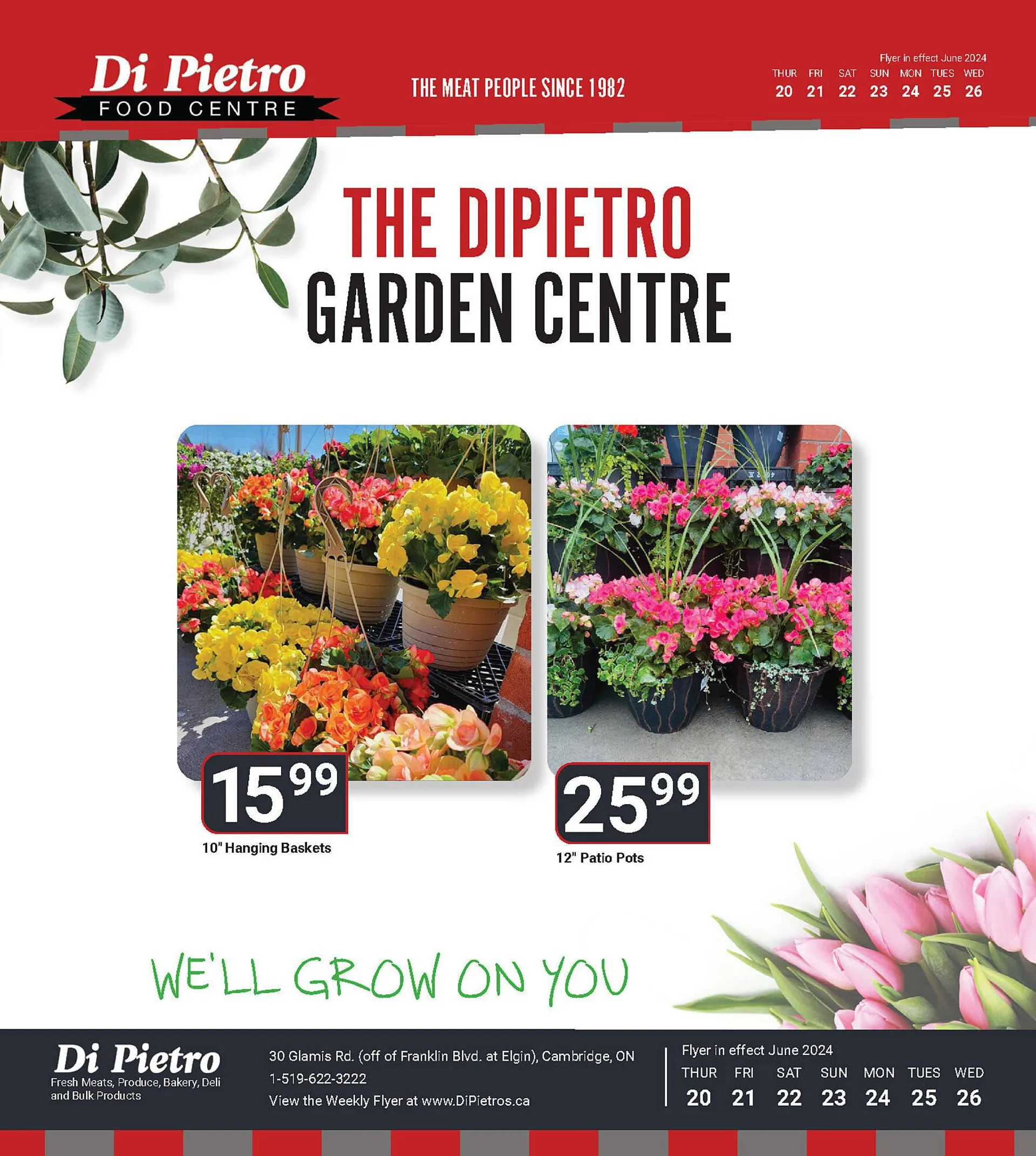 Di Pietro flyer - 7