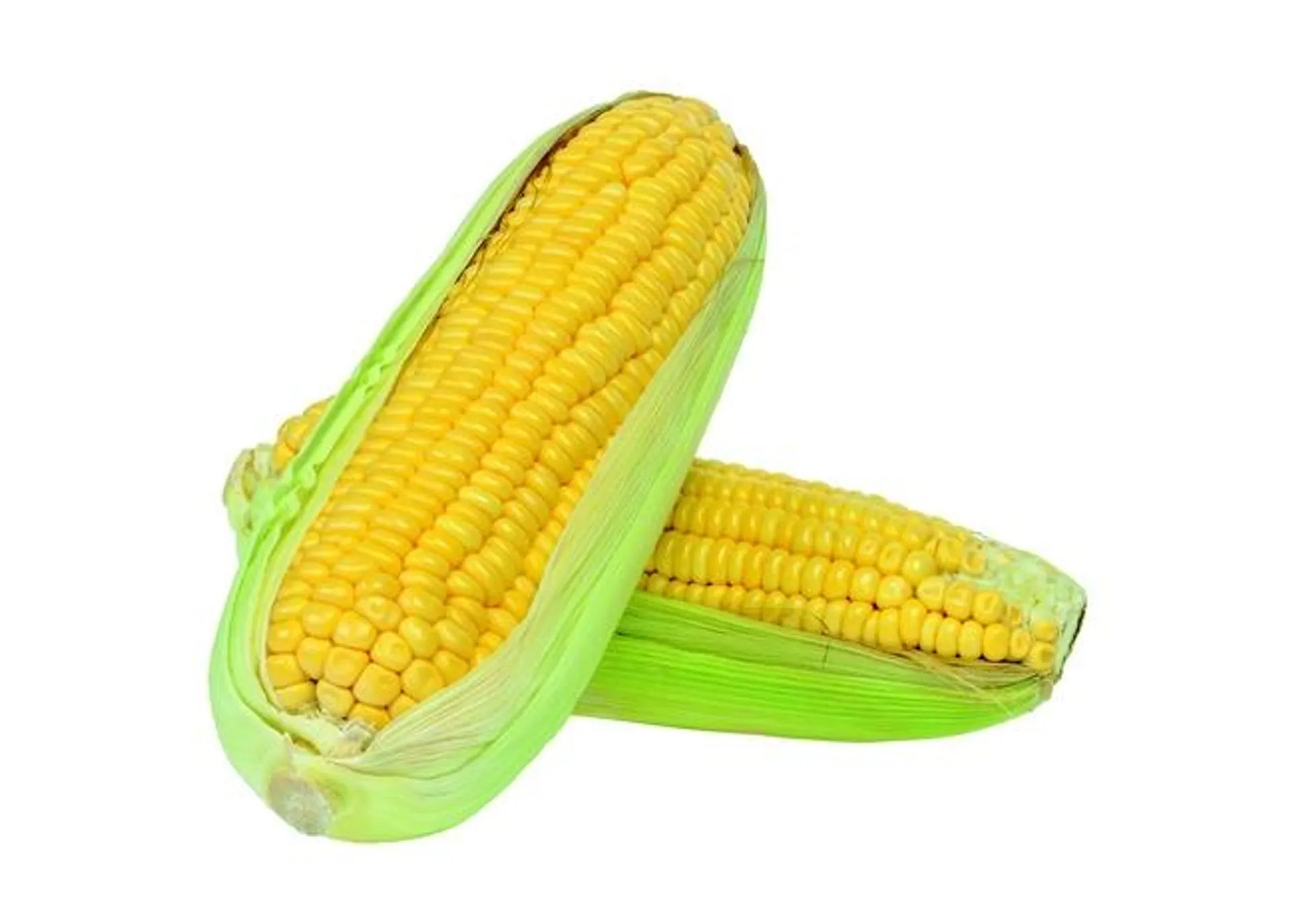 Corn on the Cob